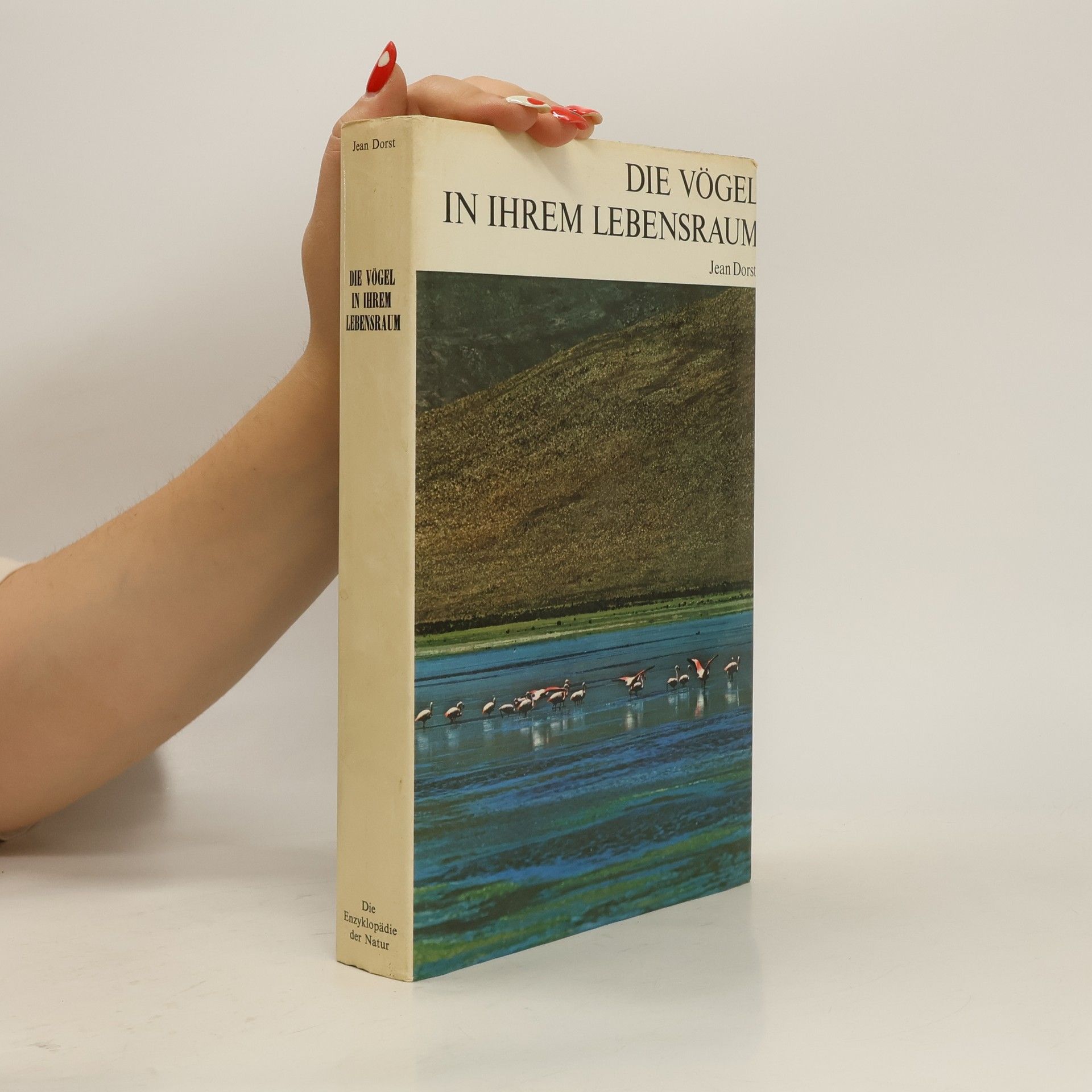 Jean Dorst Die Vögel in Ihrem Lebensraum