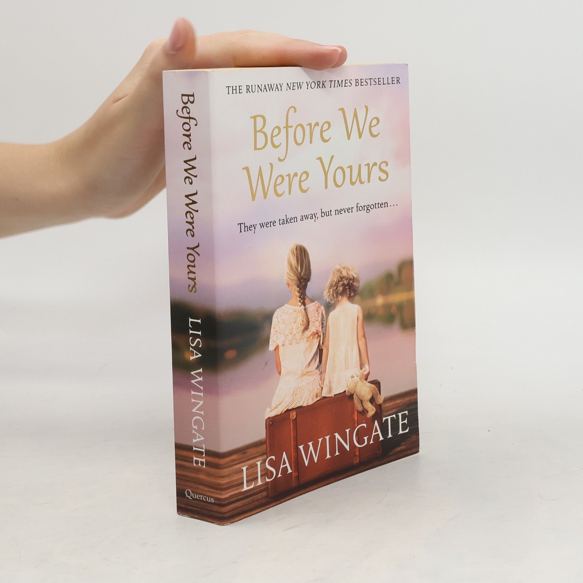 Lisa Wingate Before we were yours