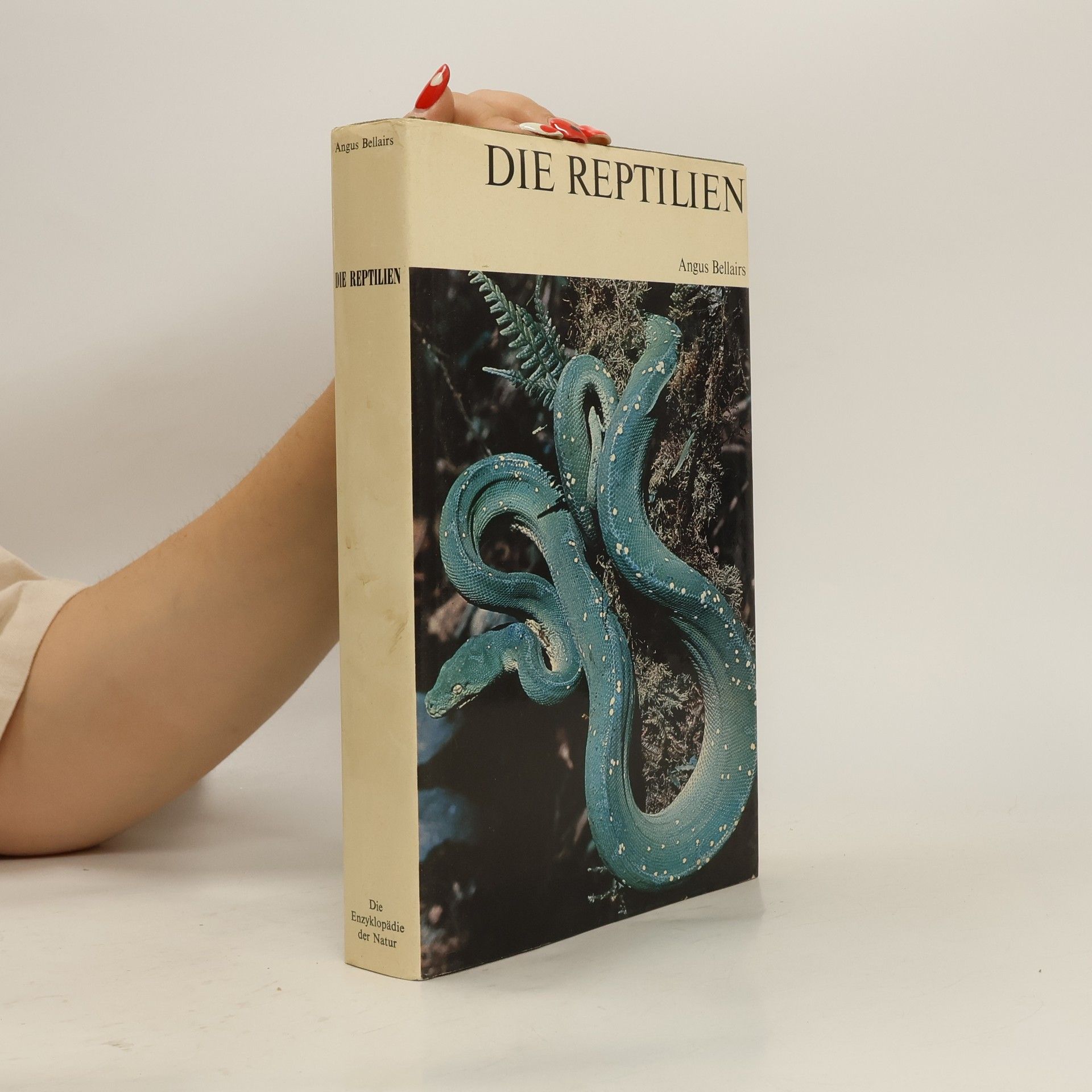 Angus Bellairs Die Reptilien