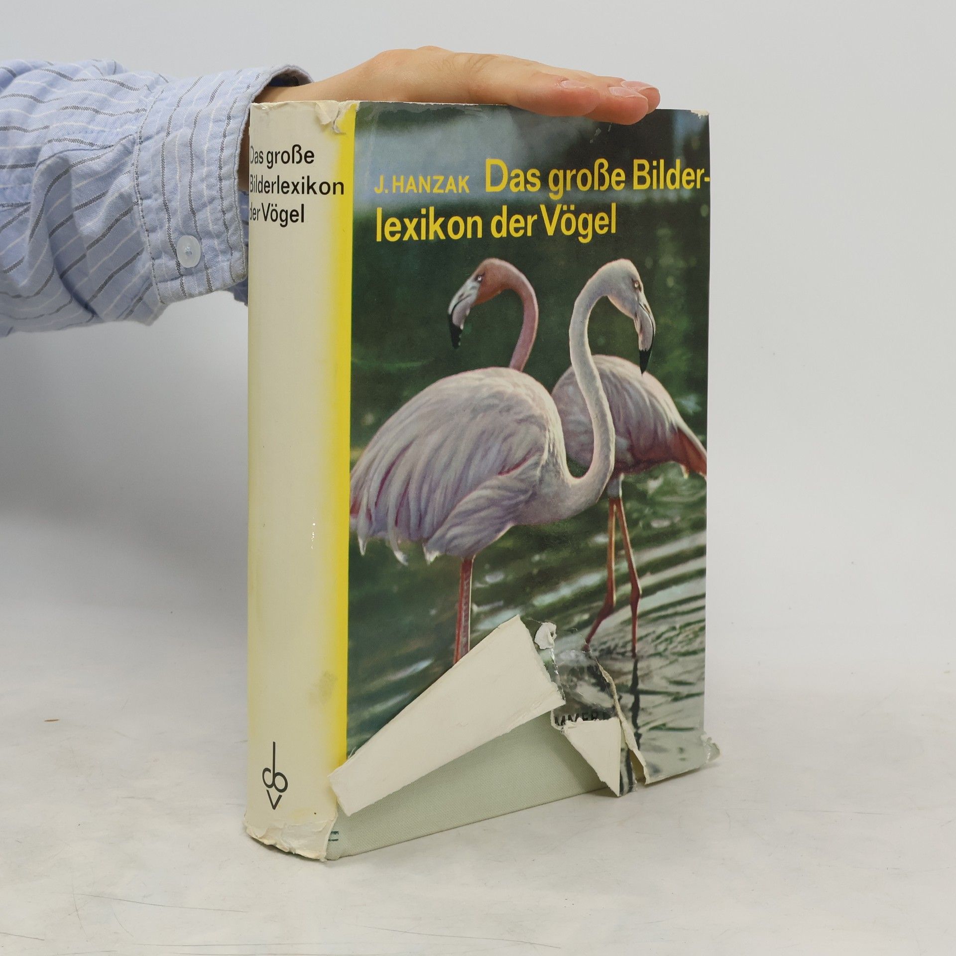 J. Hanzák Das große Bilderlexikon der Vögel