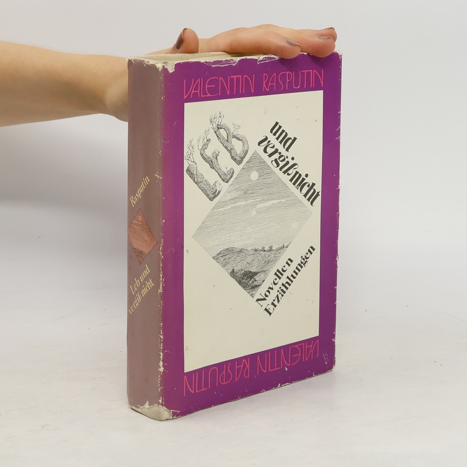 Valentin Rasputin Leb und vergiß nicht