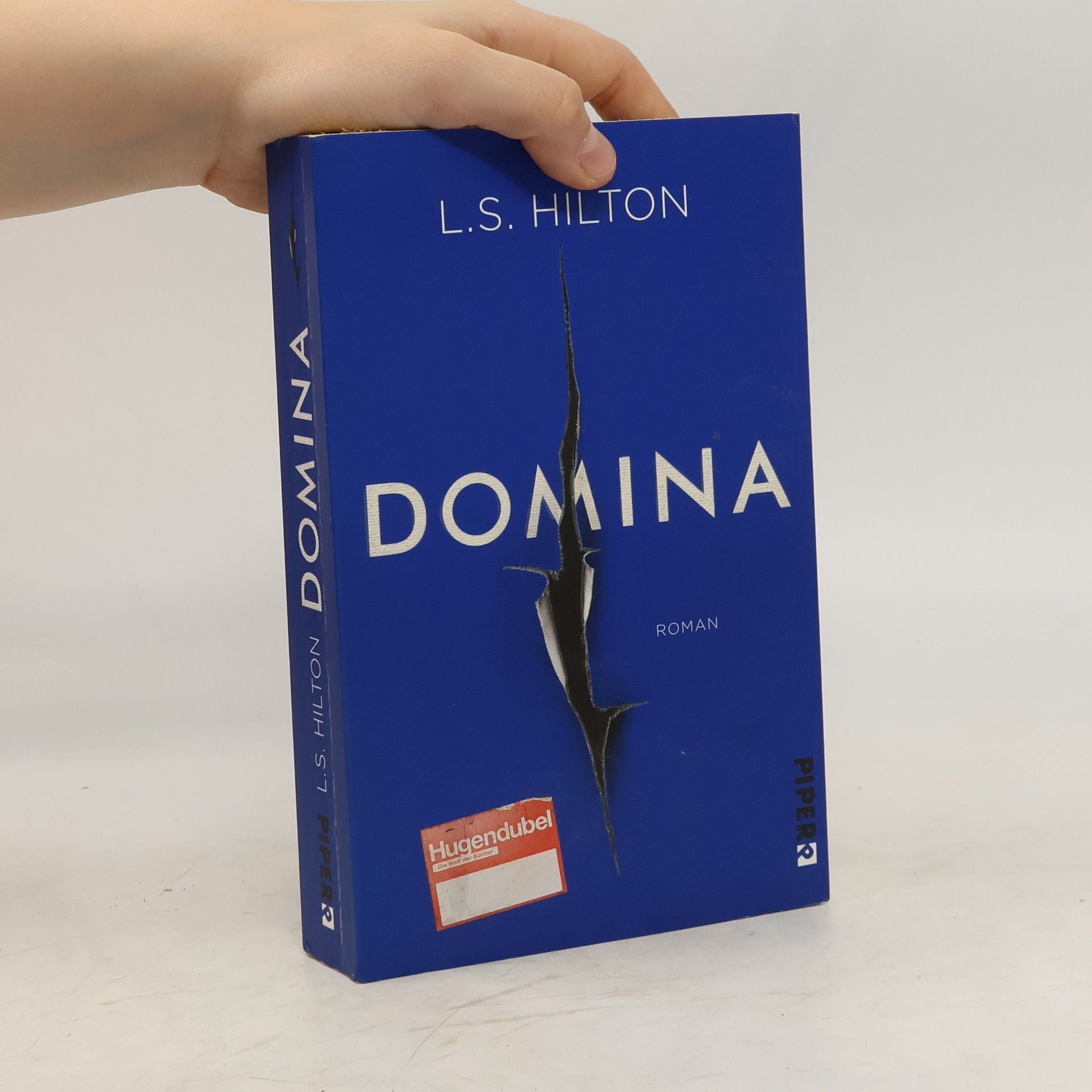 Lisa Hilton Domina