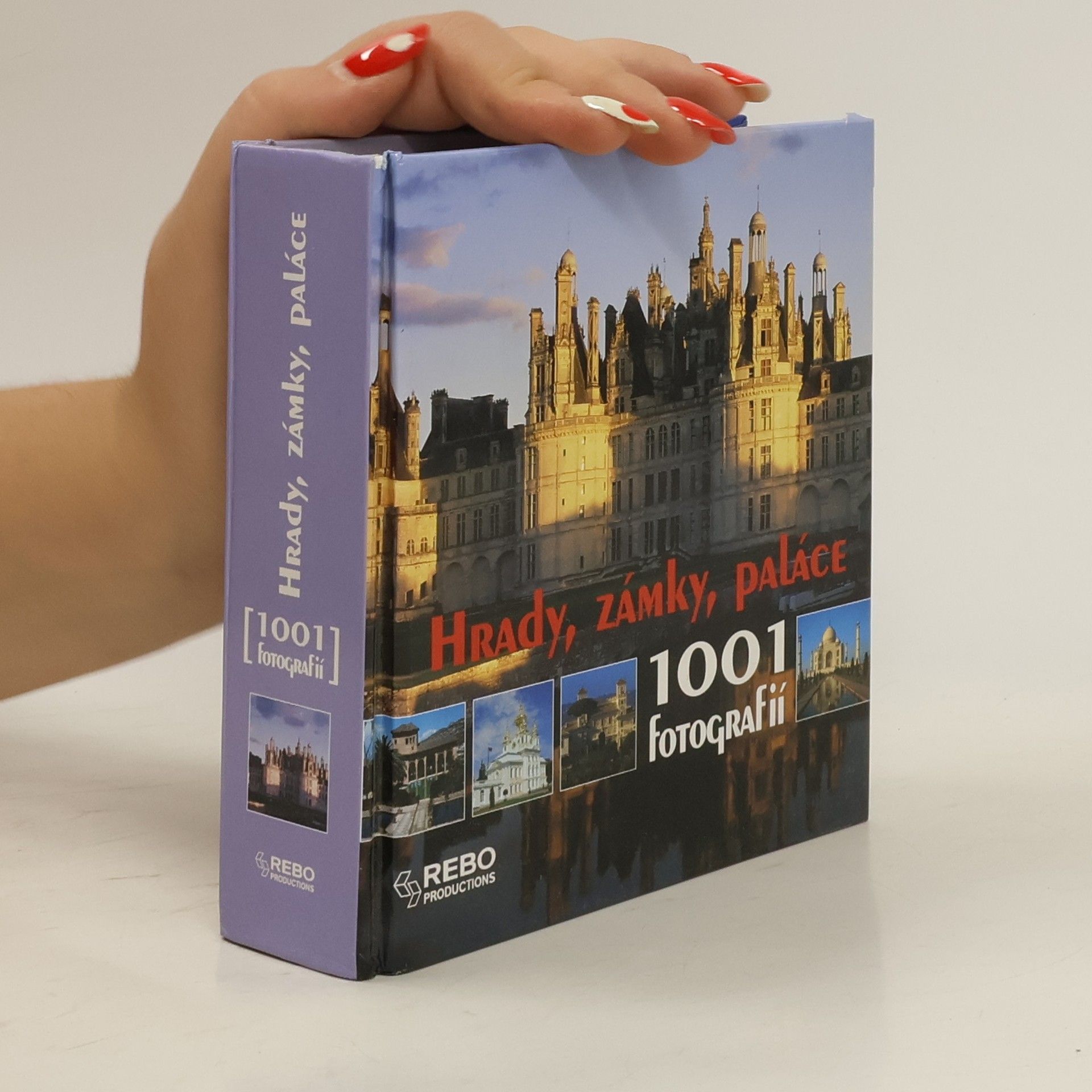 Bayle Francoise Hrady, zámky, paláce: 1001 fotografií