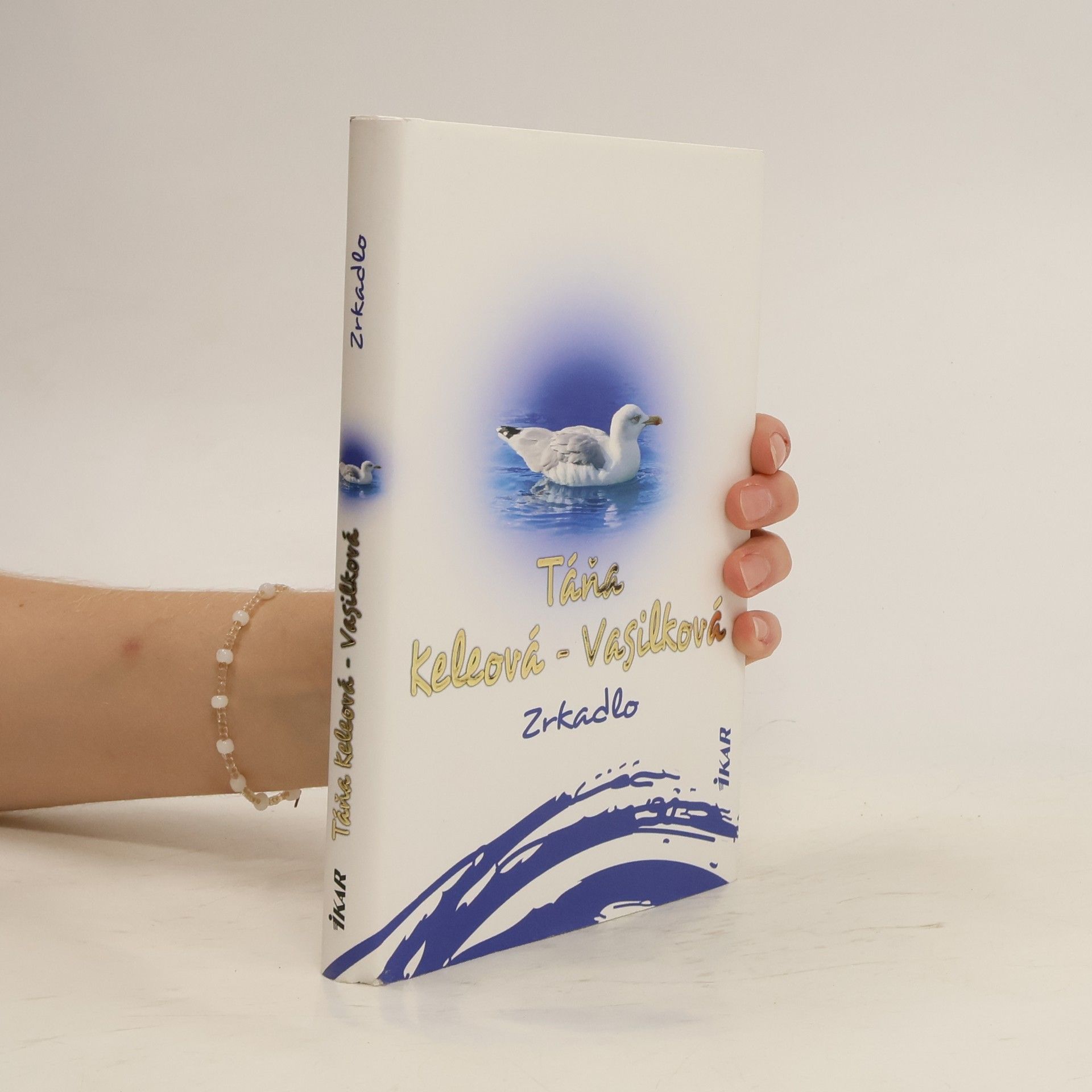 Táňa Keleová-Vasilková Zrkadlo