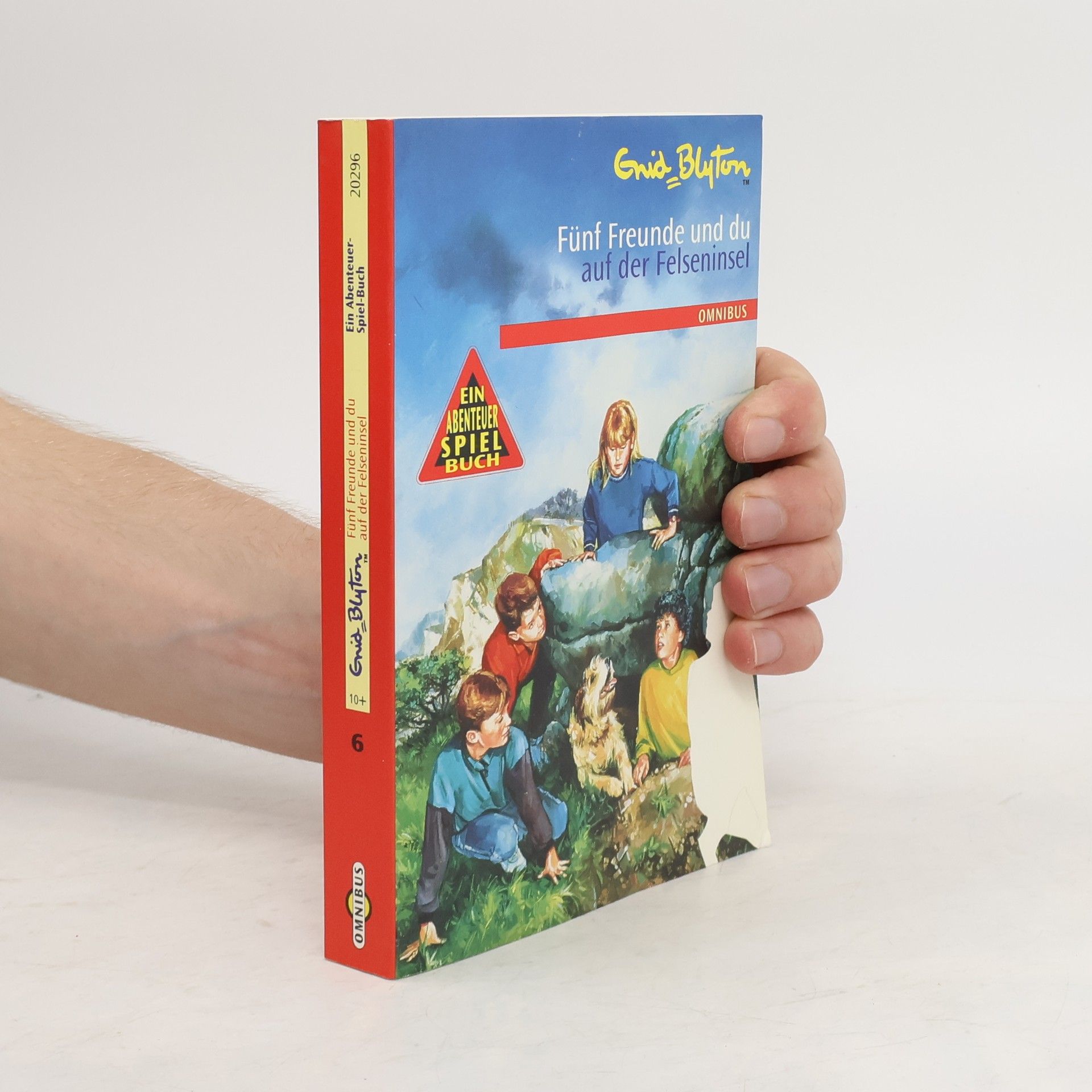 Enid Blyton Fünf Freunde und Du auf der Felseninsel