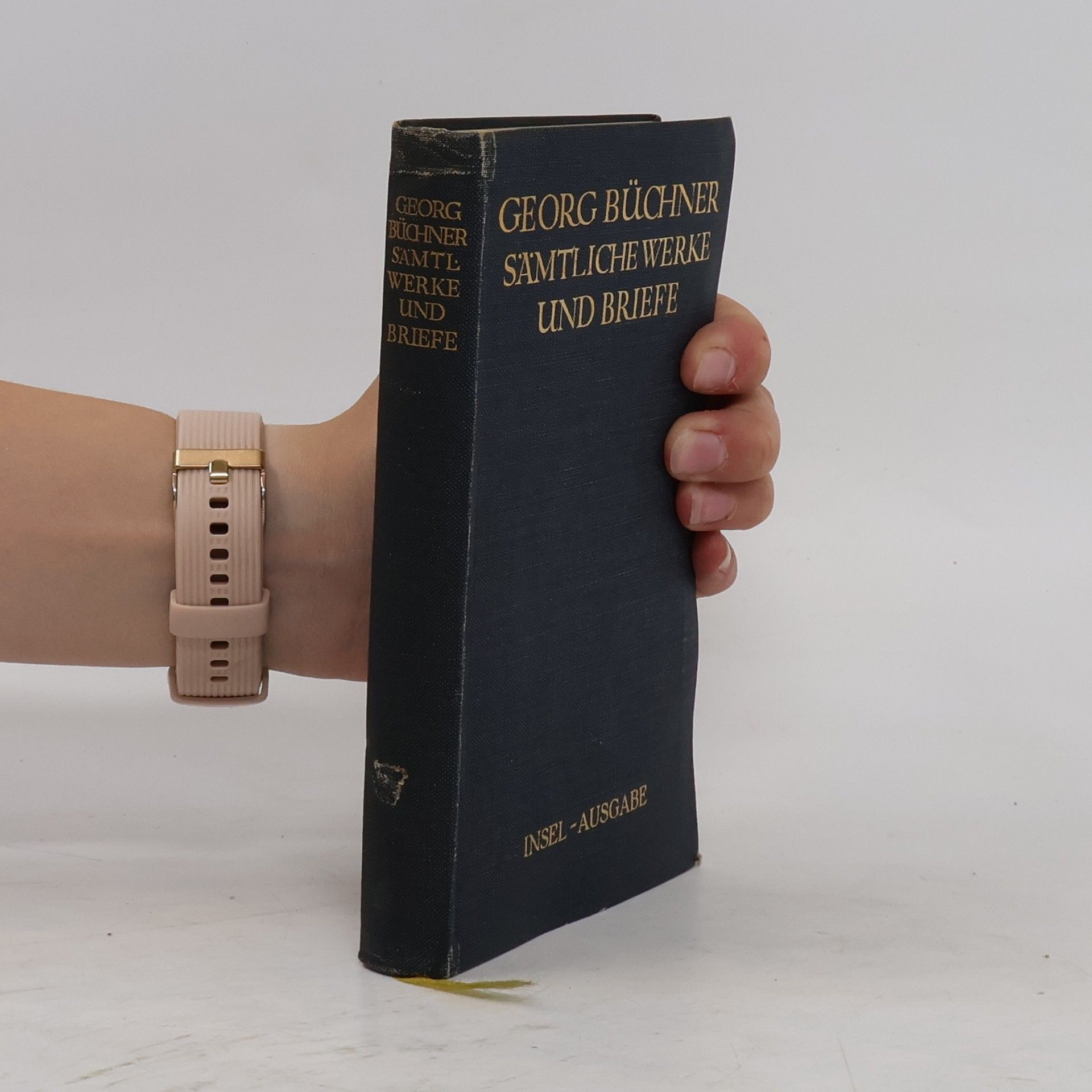 Georg Büchner Sämtliche Werke und Briefe