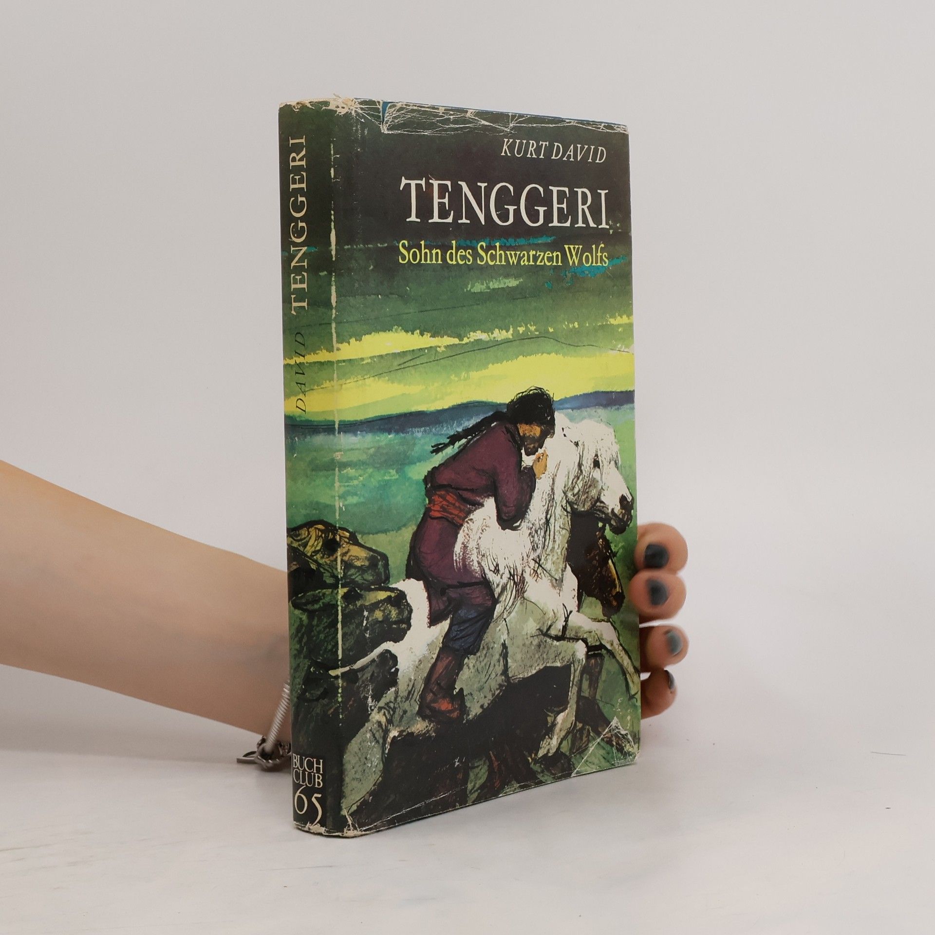 Kurt David Tenggeri. Sohn des Schwarzen Wolfs
