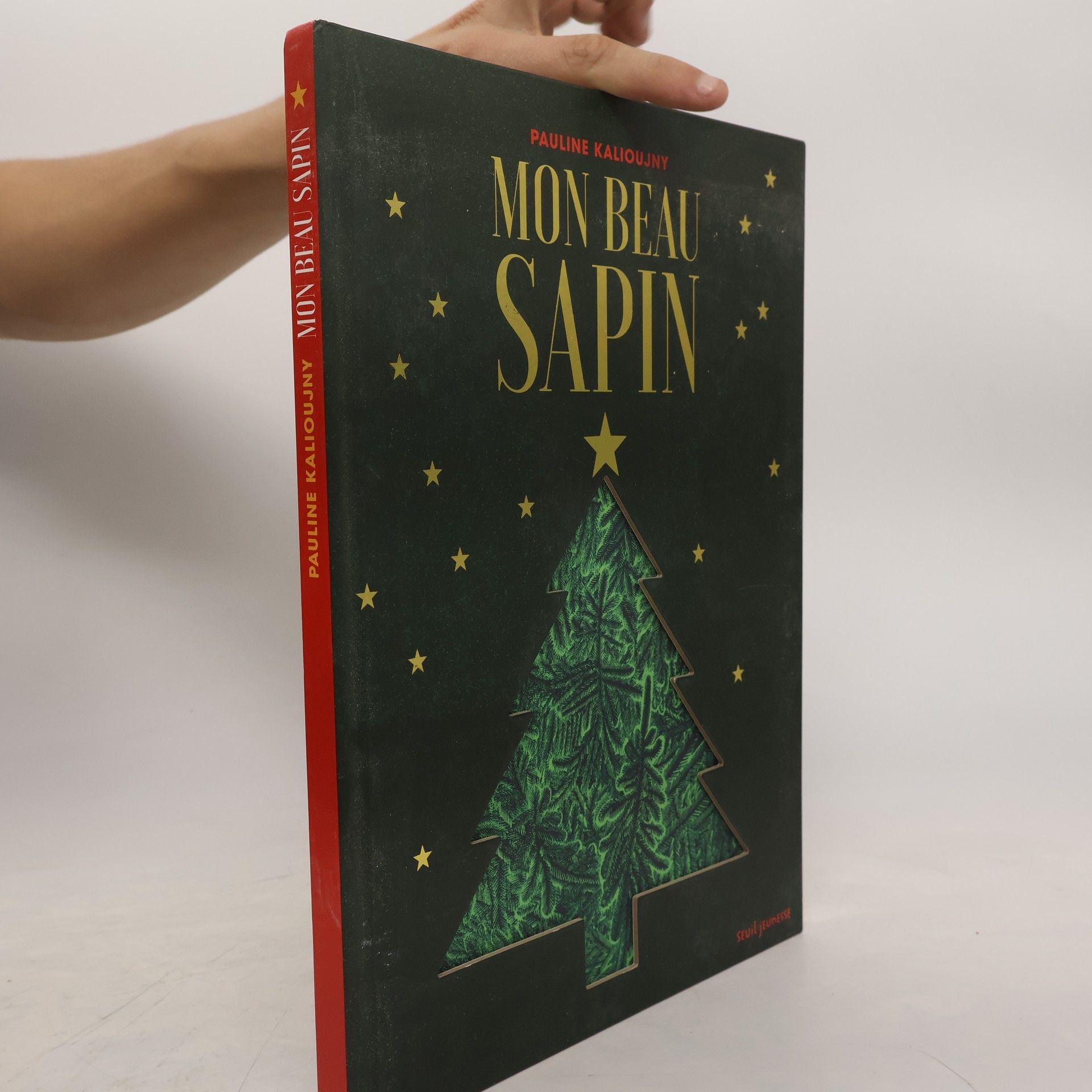 Pauline Kalioujny Mon beau sapin