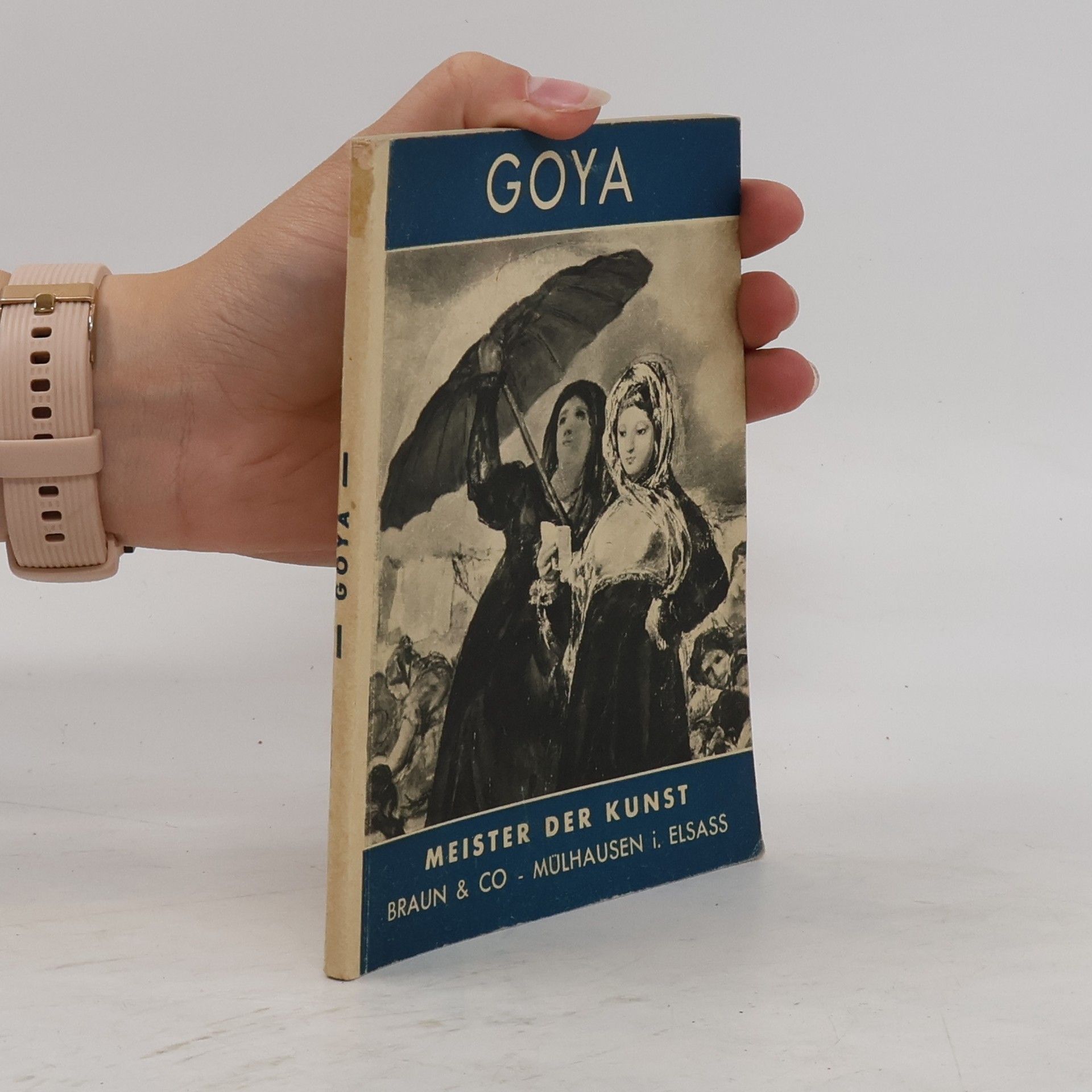 Goerge Pillement Goya: Meister der Kunst