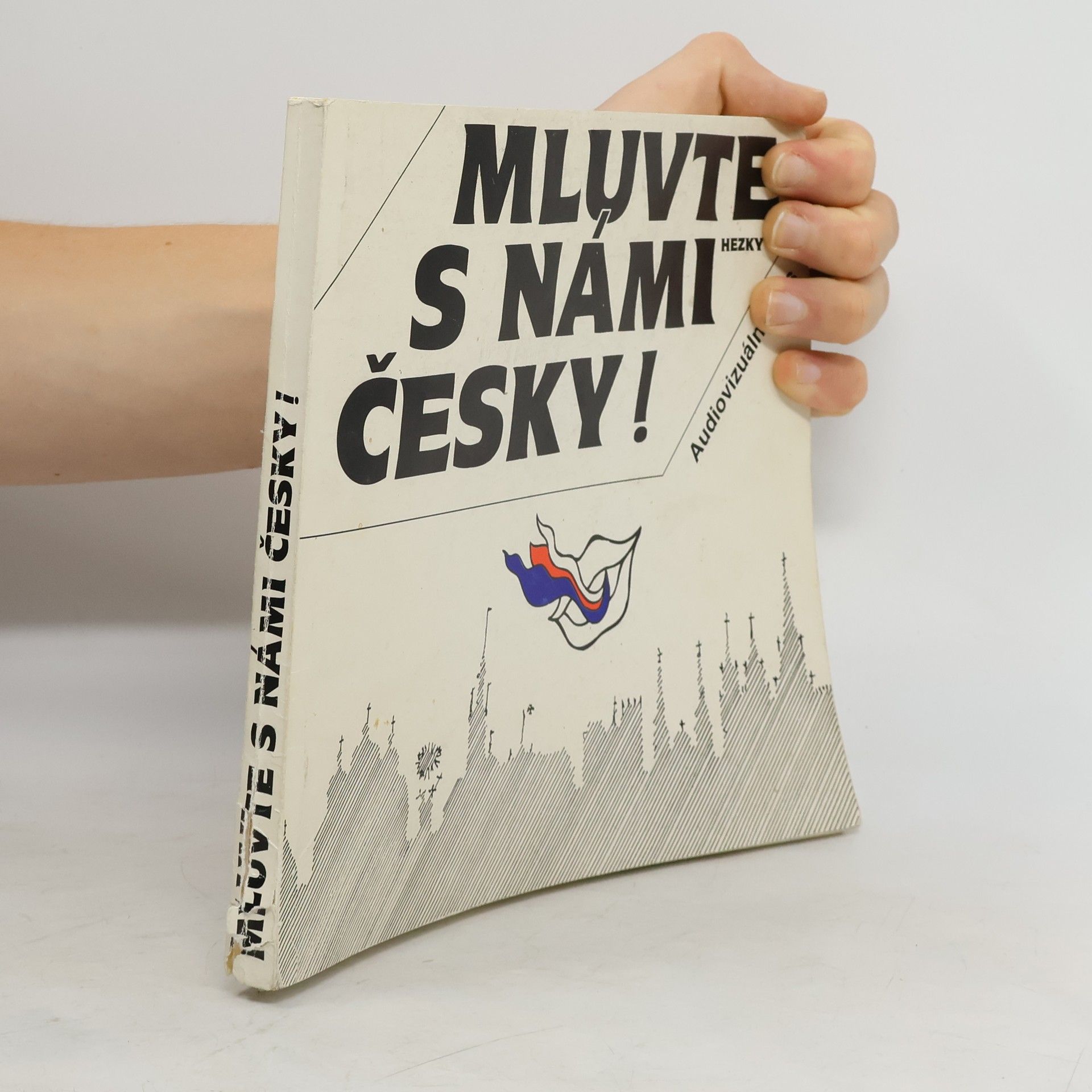 Kolektiv autorů Mluvte s námi hezky česky!
