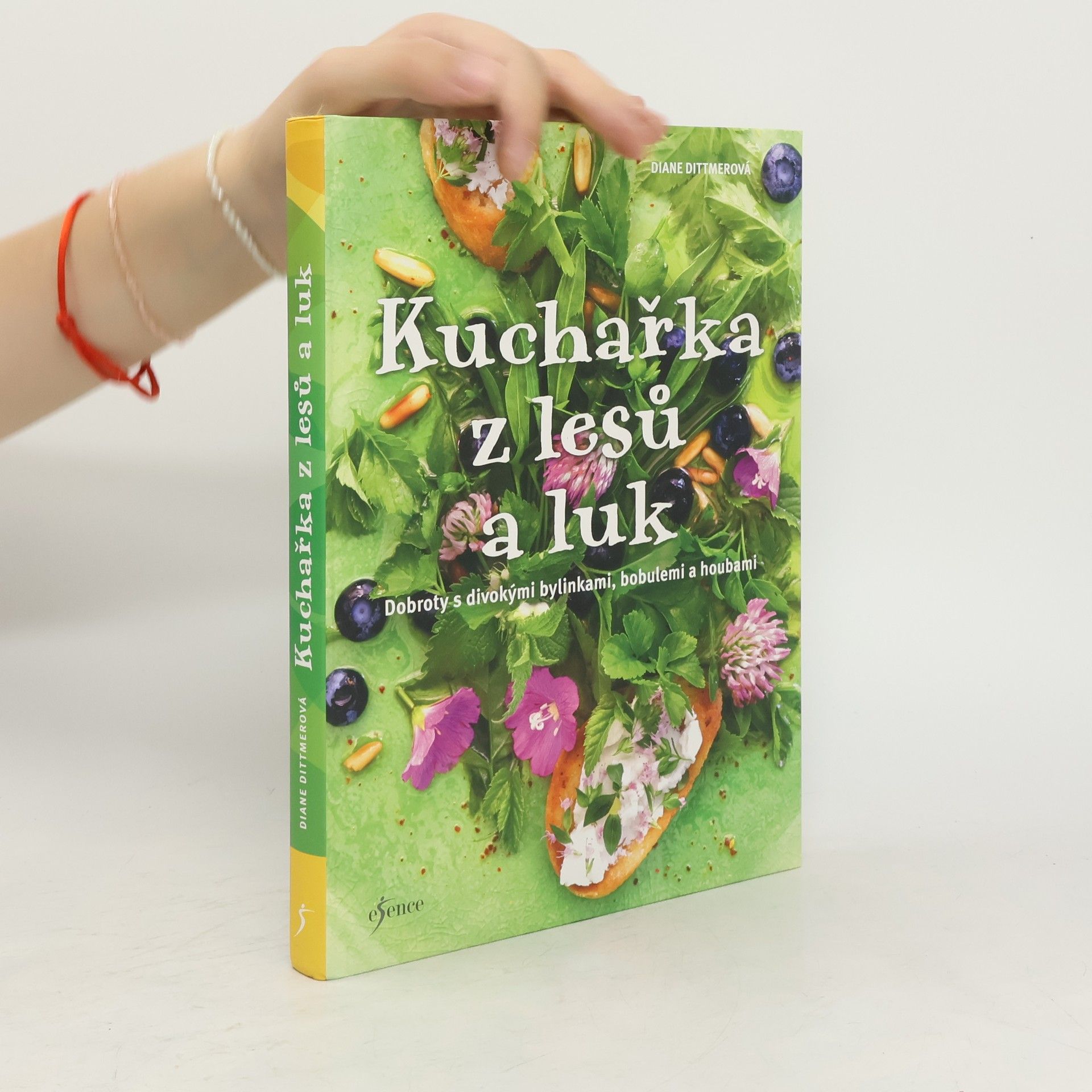 Diane Dittmer Kuchařka z lesů a luk