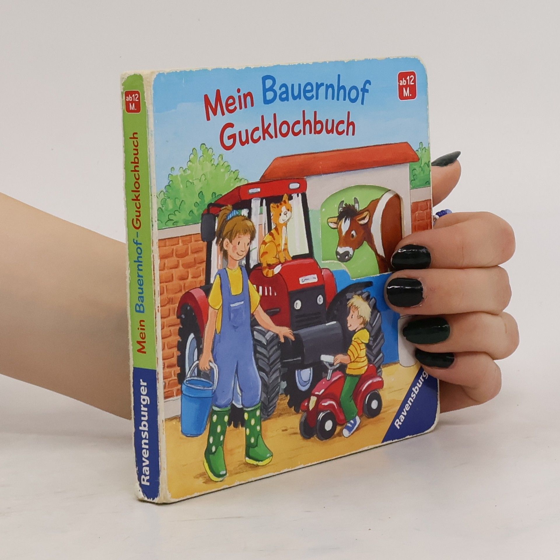 Antje Flad Mein Bauernhof Gucklochbuch