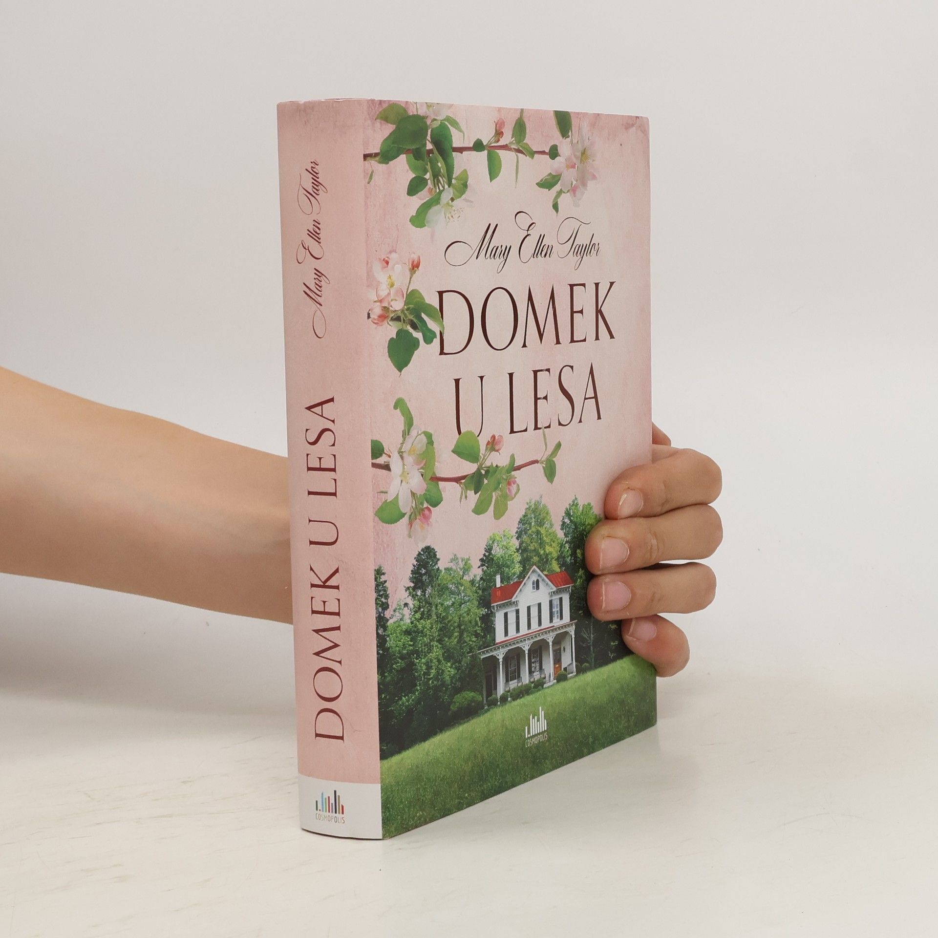 Mary Ellen Taylor Domek u lesa