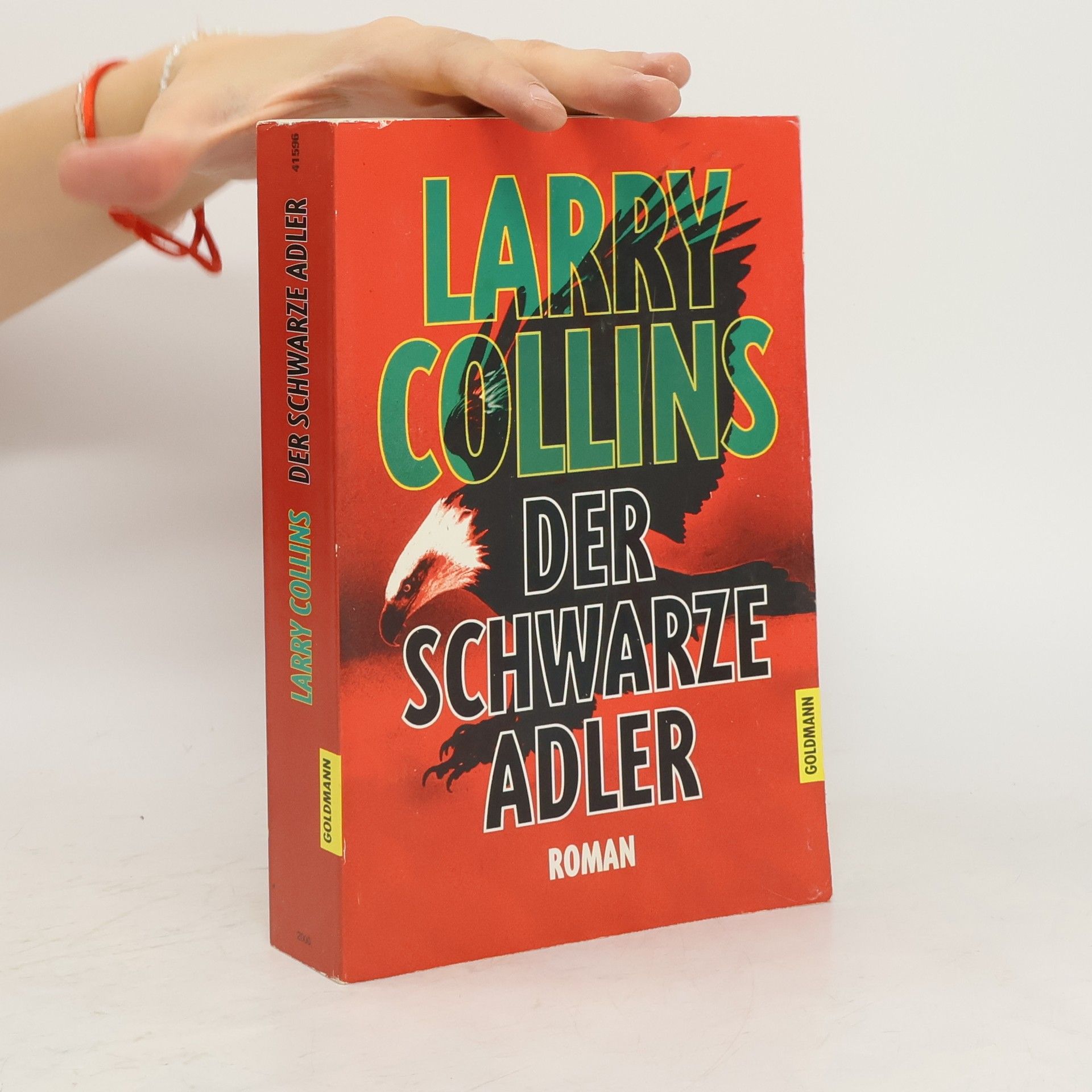 Dominique Lapierre Der schwarze Adler