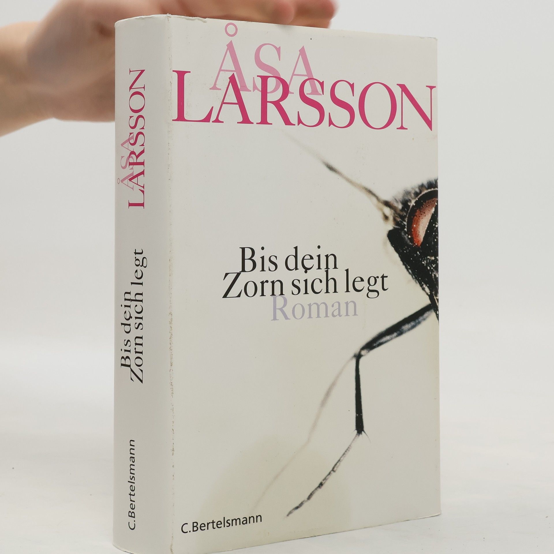 Åsa Larsson Bis dein Zorn sich legt