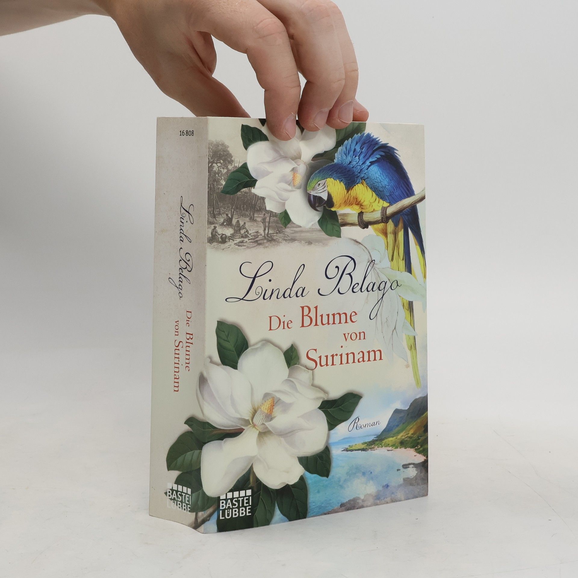 Linda Belago Die Blume von Surinam
