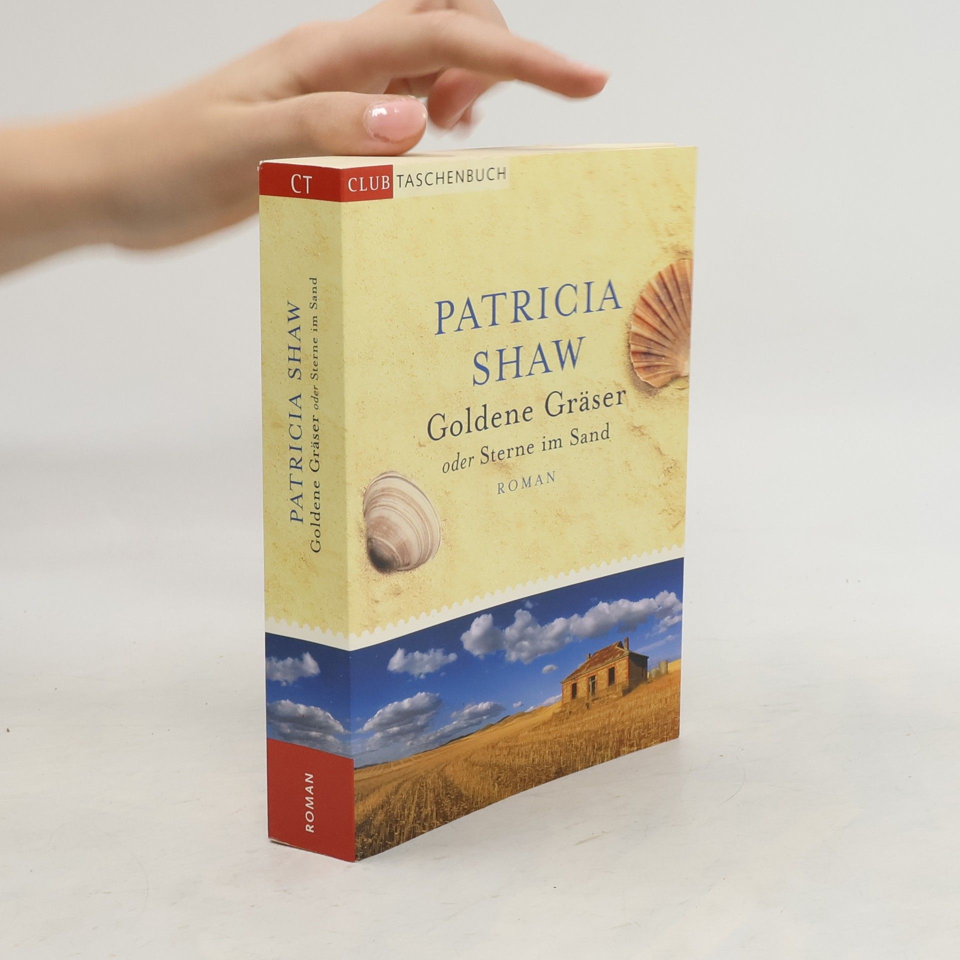 Patricia Shaw Goldene Gräser oder Sterne im Sand