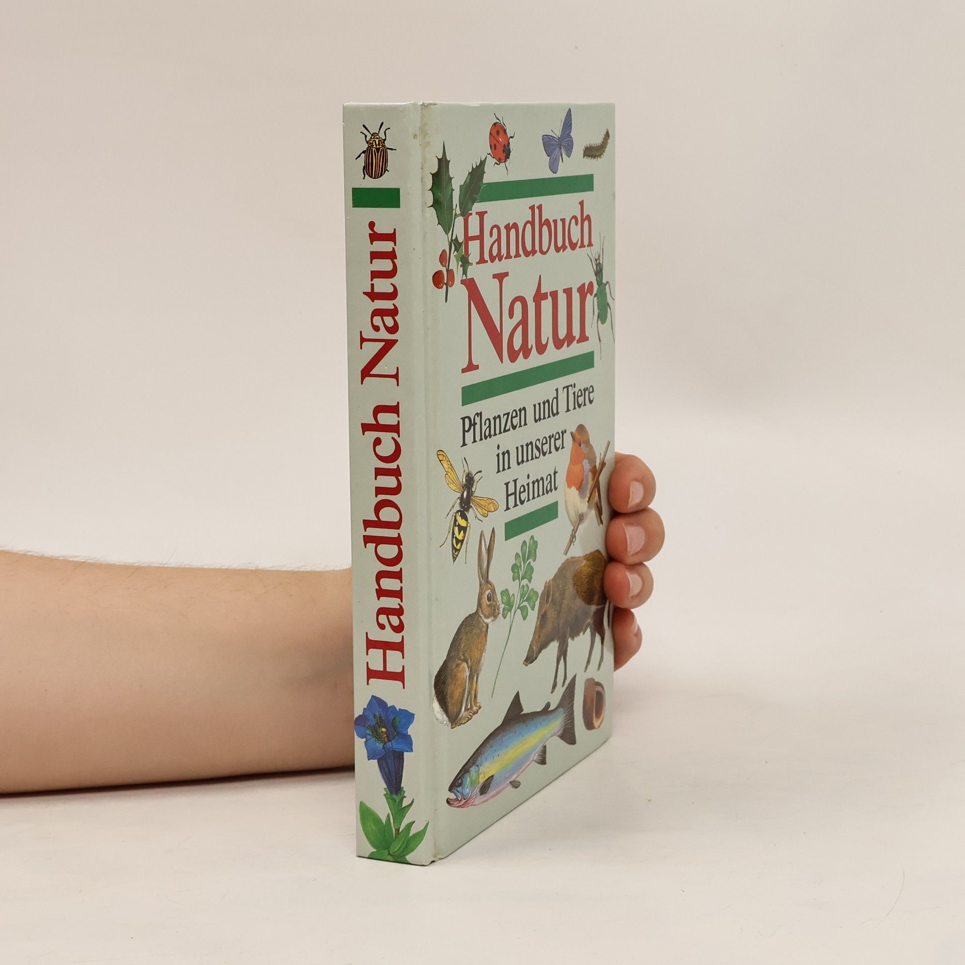 Marcus Würmli Handbuch Natur