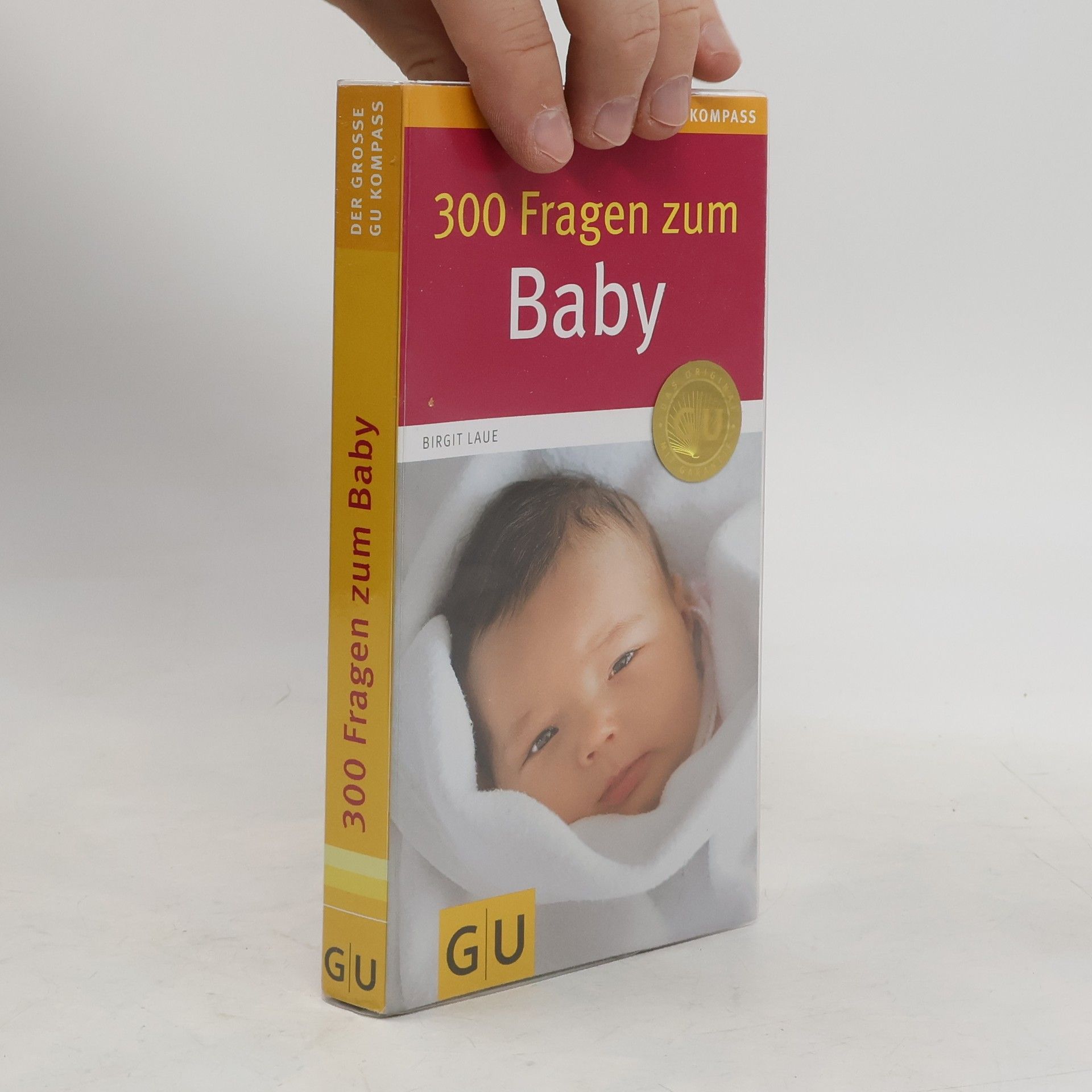 Birgit Laue 300 Fragen zum Baby
