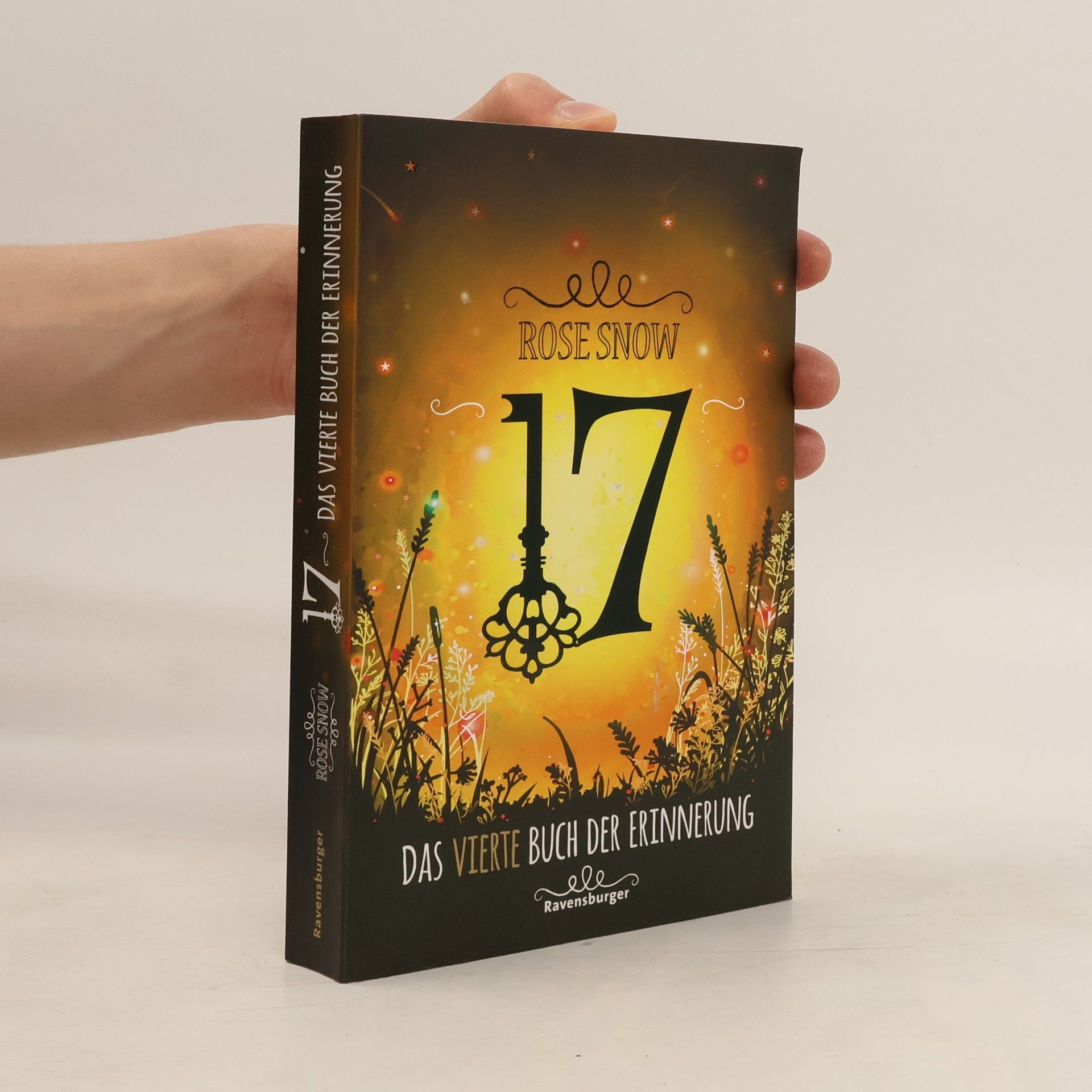 Rosie Snow 17: Das vierte Buch der Erinnerung