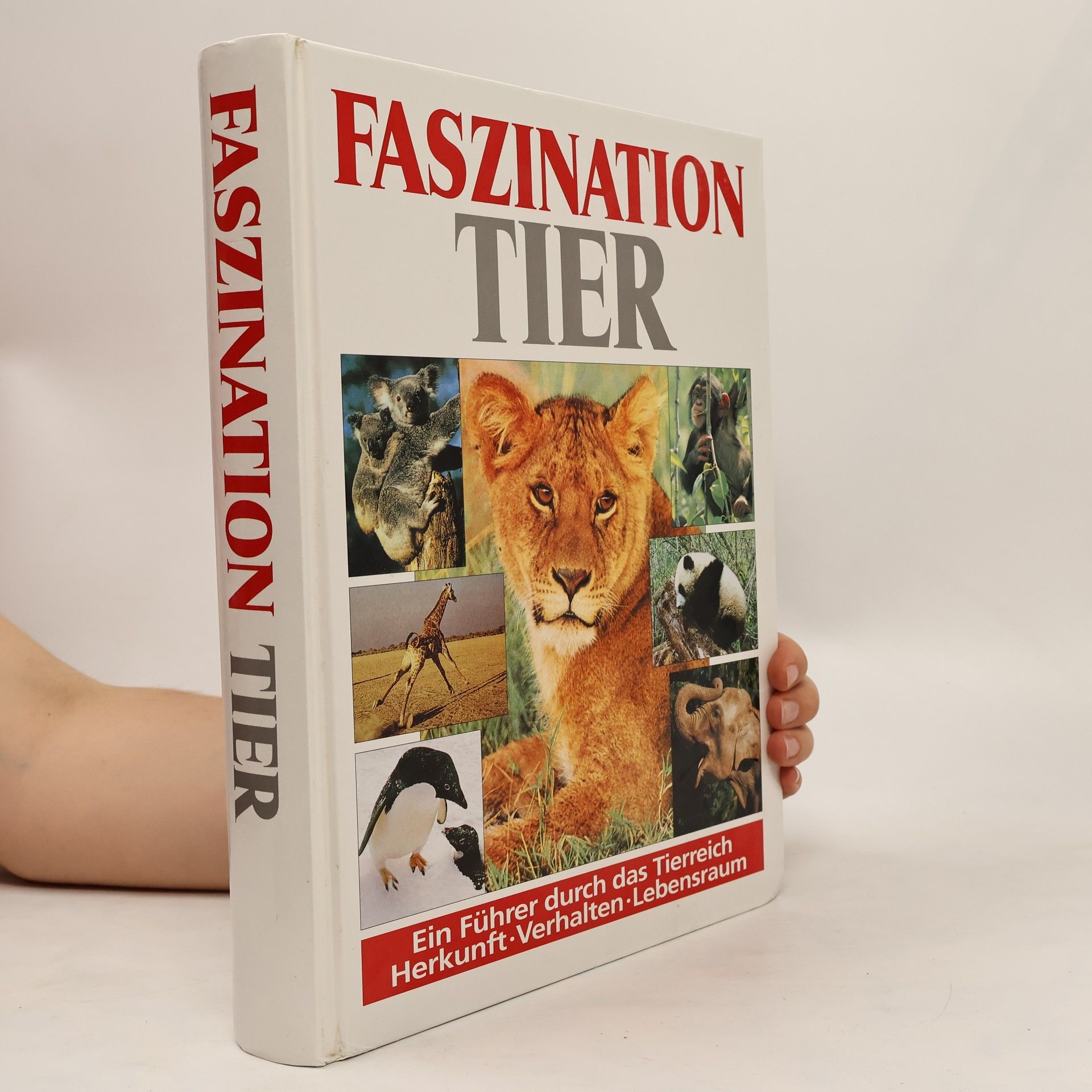 kolektiv Faszination Tier