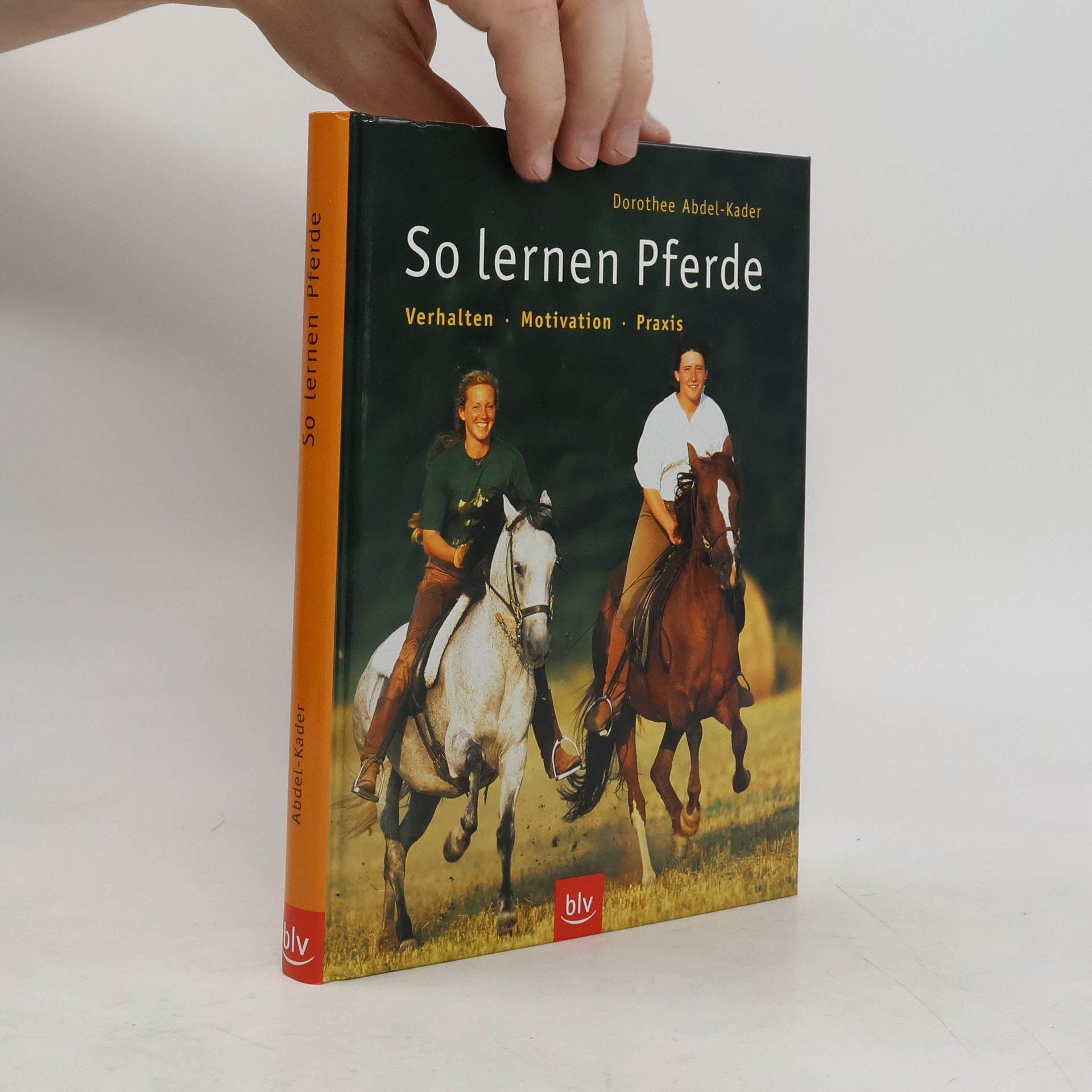 Dorothee Abdel Kader So lernen Pferde