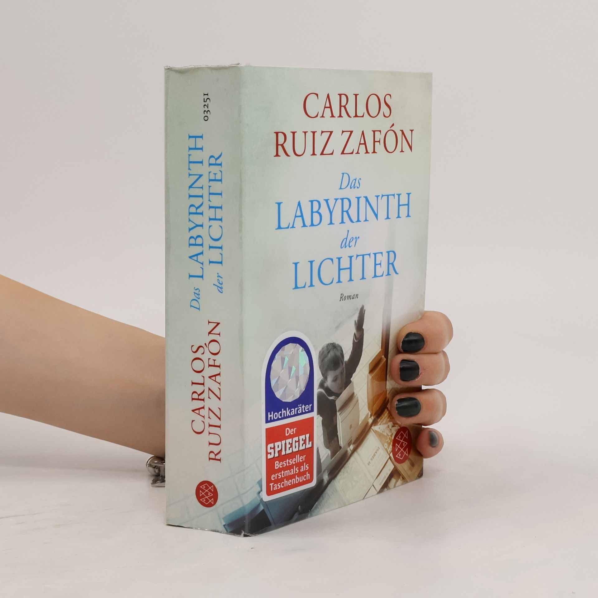 Carlos Ruis Zafon Das Labyrinth der Lichter