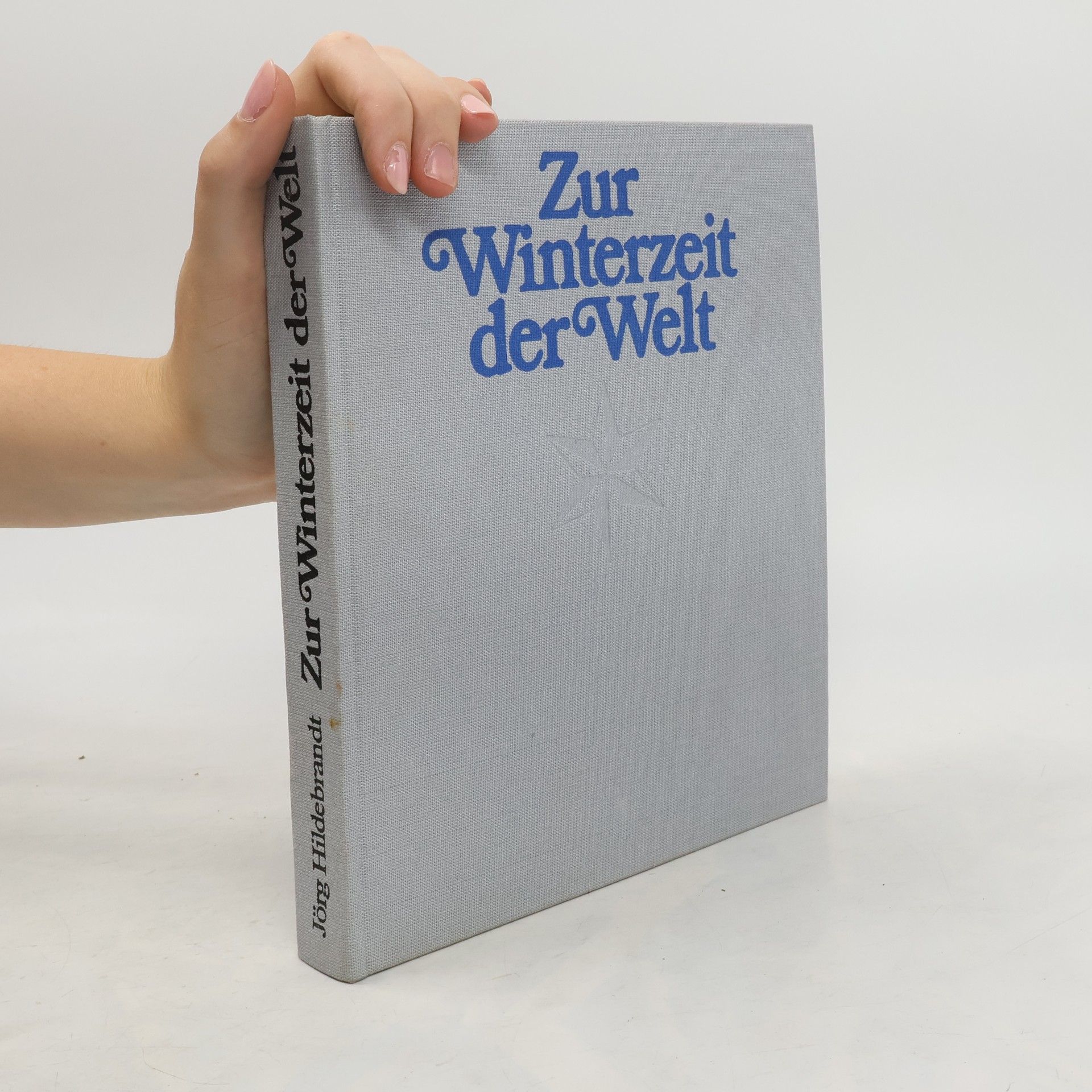 Jörg Hildebrandt Zur Winterzeit der Welt
