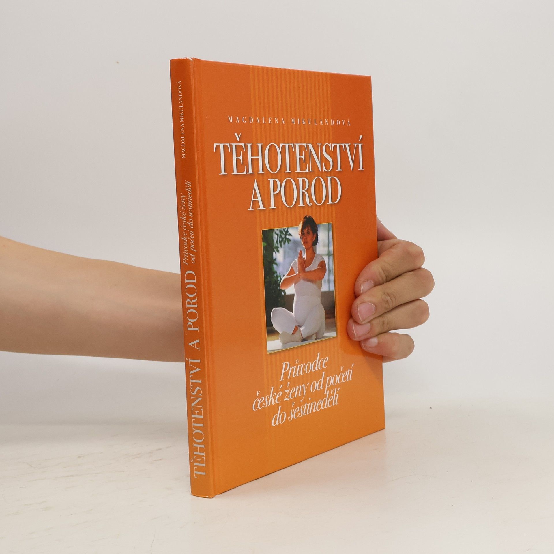 Magdalena Mikulandová Těhotenství a porod. Průvodce české ženy od početí do šestinedělí