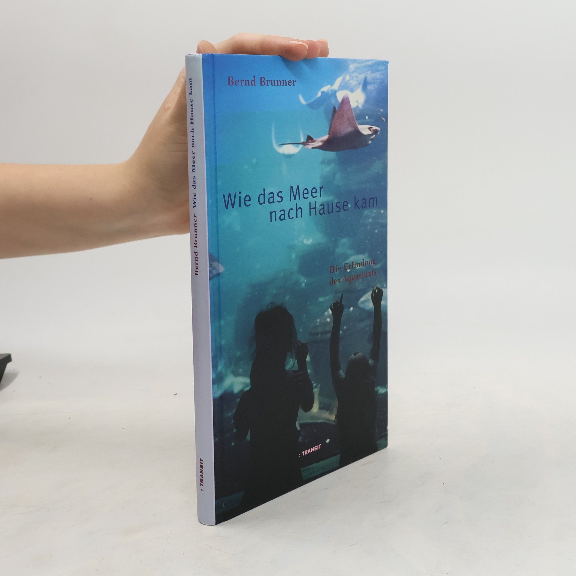 Bernd Brunner Wie das Meer nach Hause kam