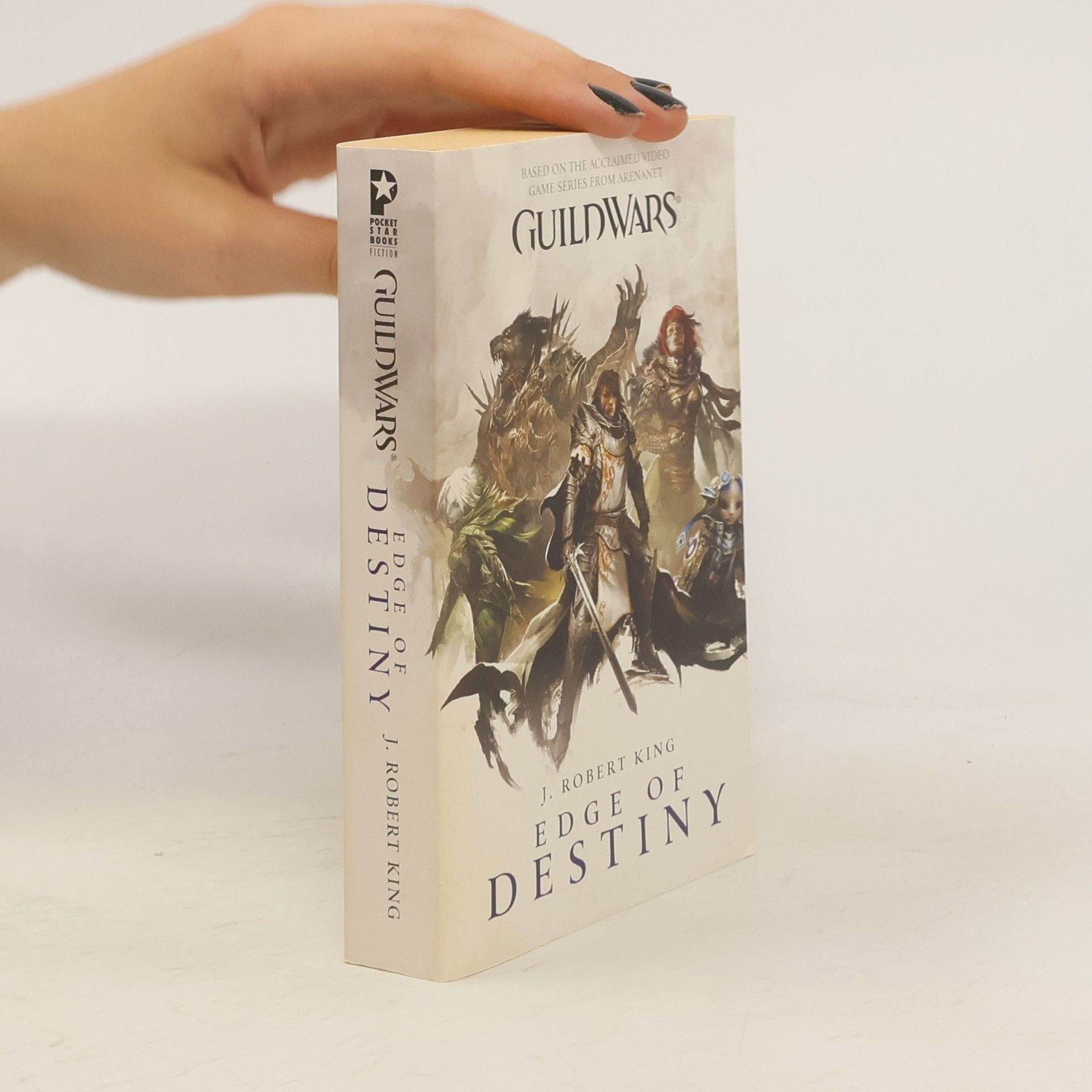 Robert J. King Guild Wars: Edge of Destiny