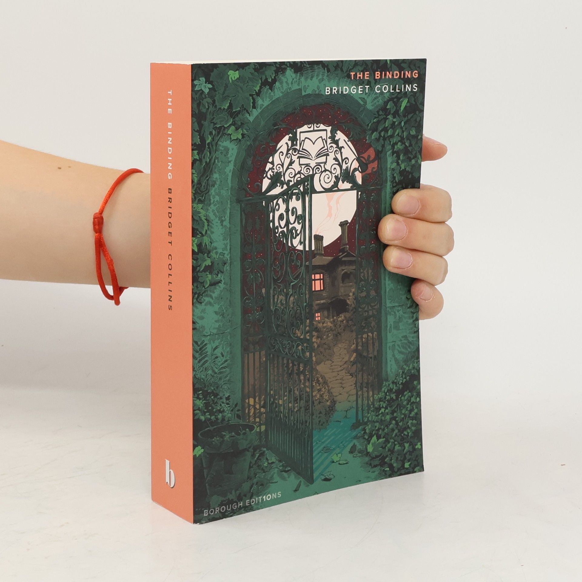 Bridget Collins The Binding