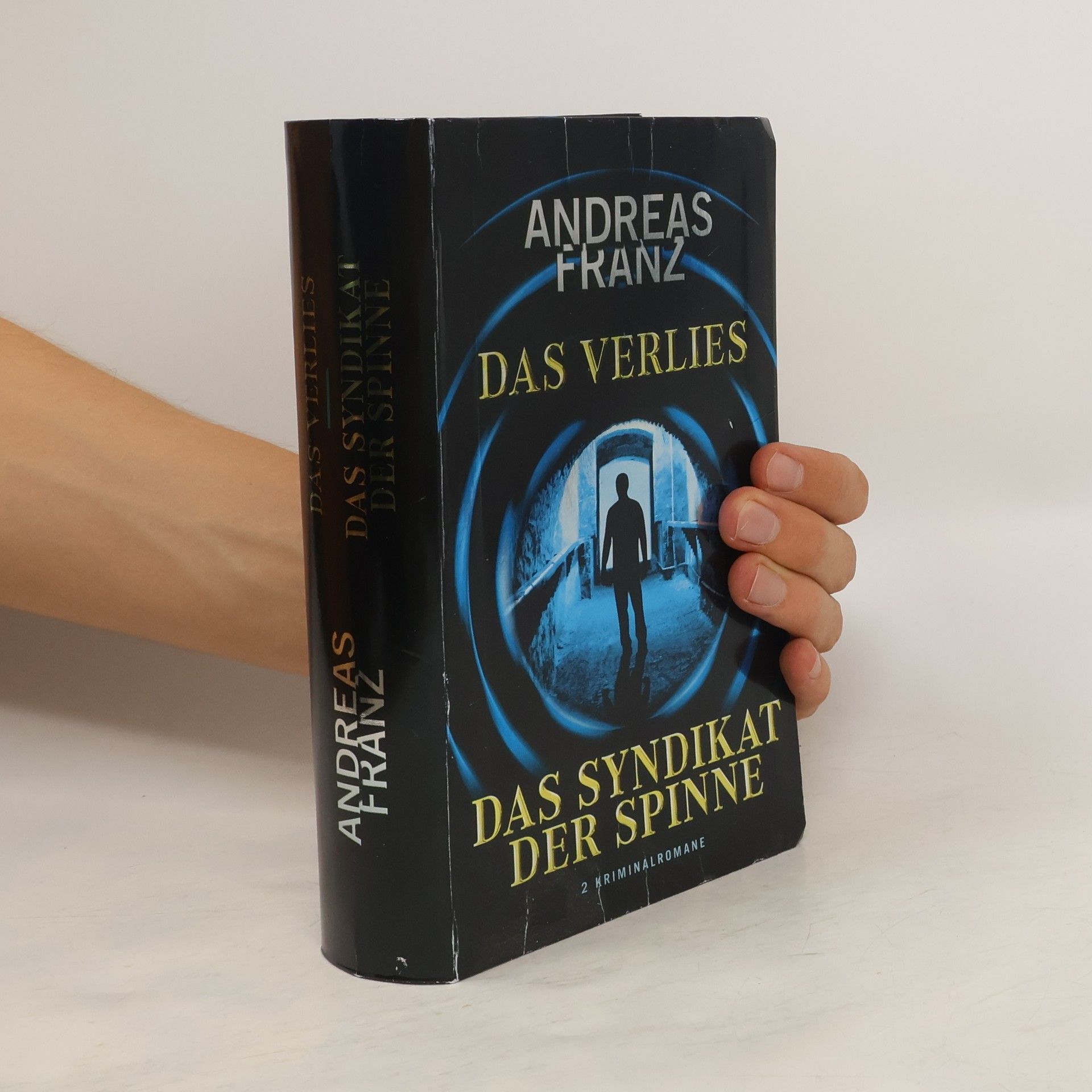 Andreas Franz Das Verlies. Das Syndikat der Spinne