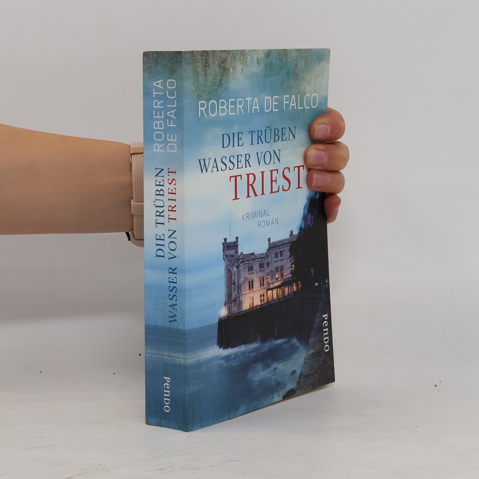 Roberta de Falco Die trüben Wasser von Triest
