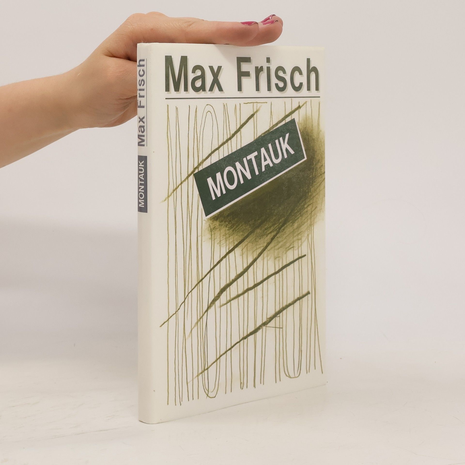 Max Frisch Montauk