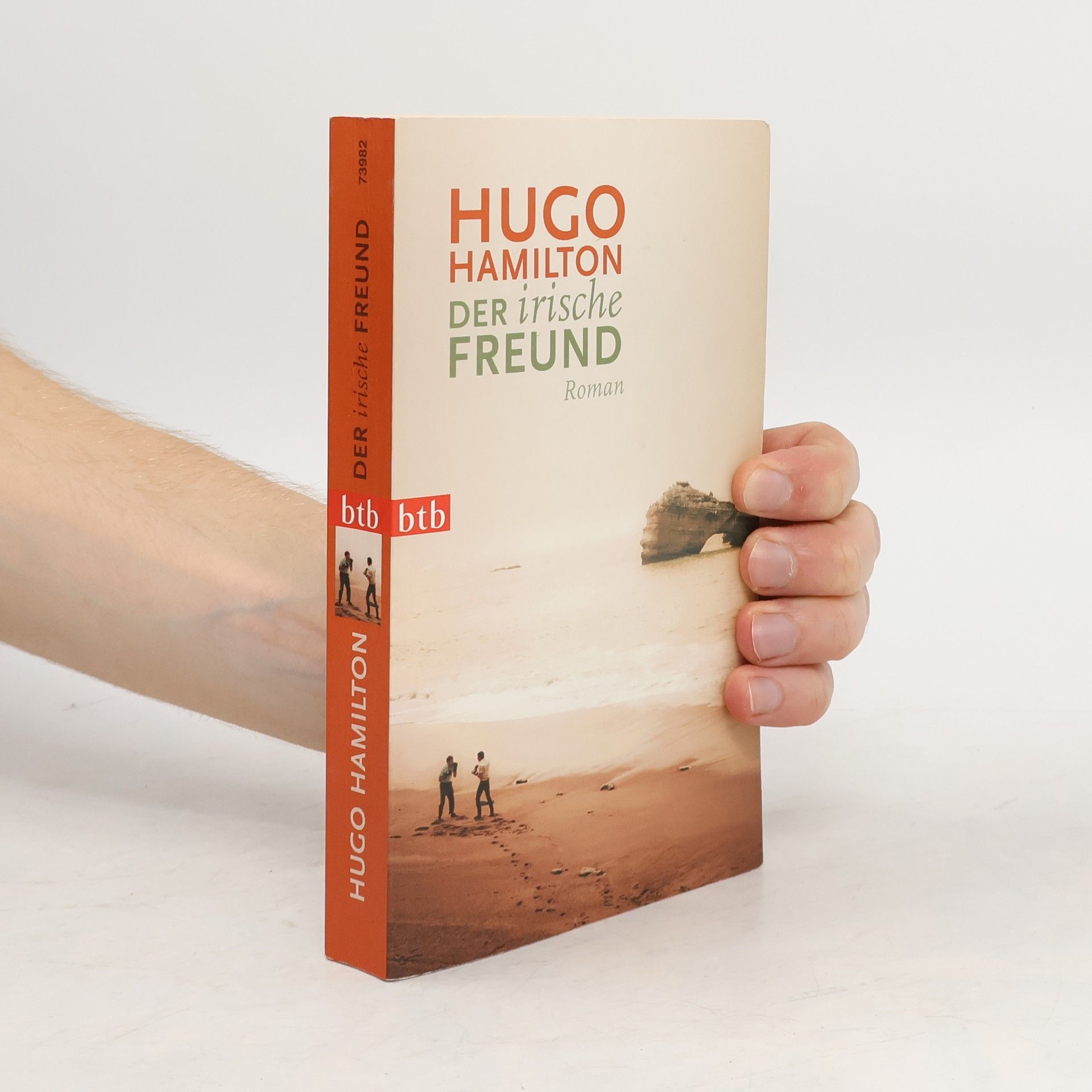 Hugo Hamilton Der irische Freund