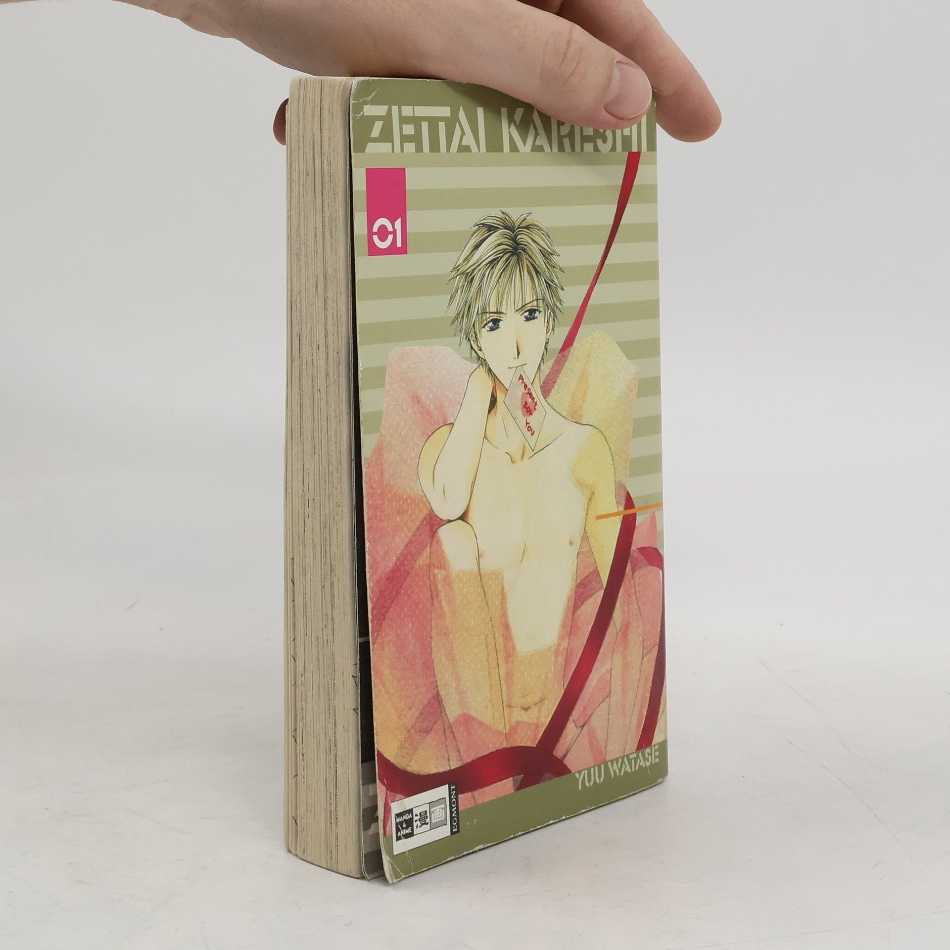 Yuu Watase Zettai Kareshi