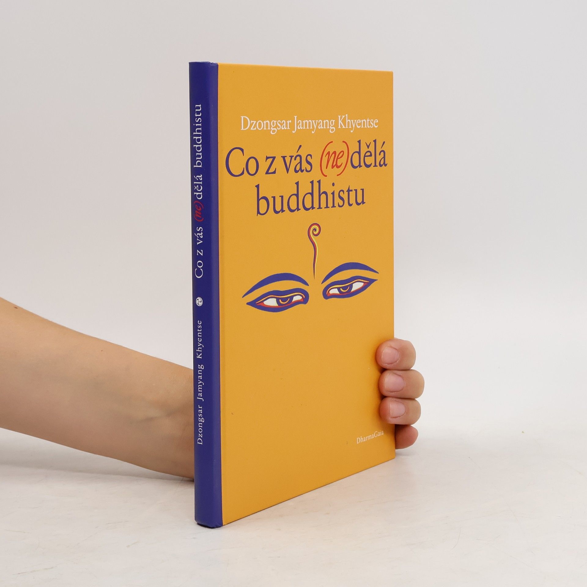 Jamyang Khyentse Co z vás (ne)dělá buddhistu