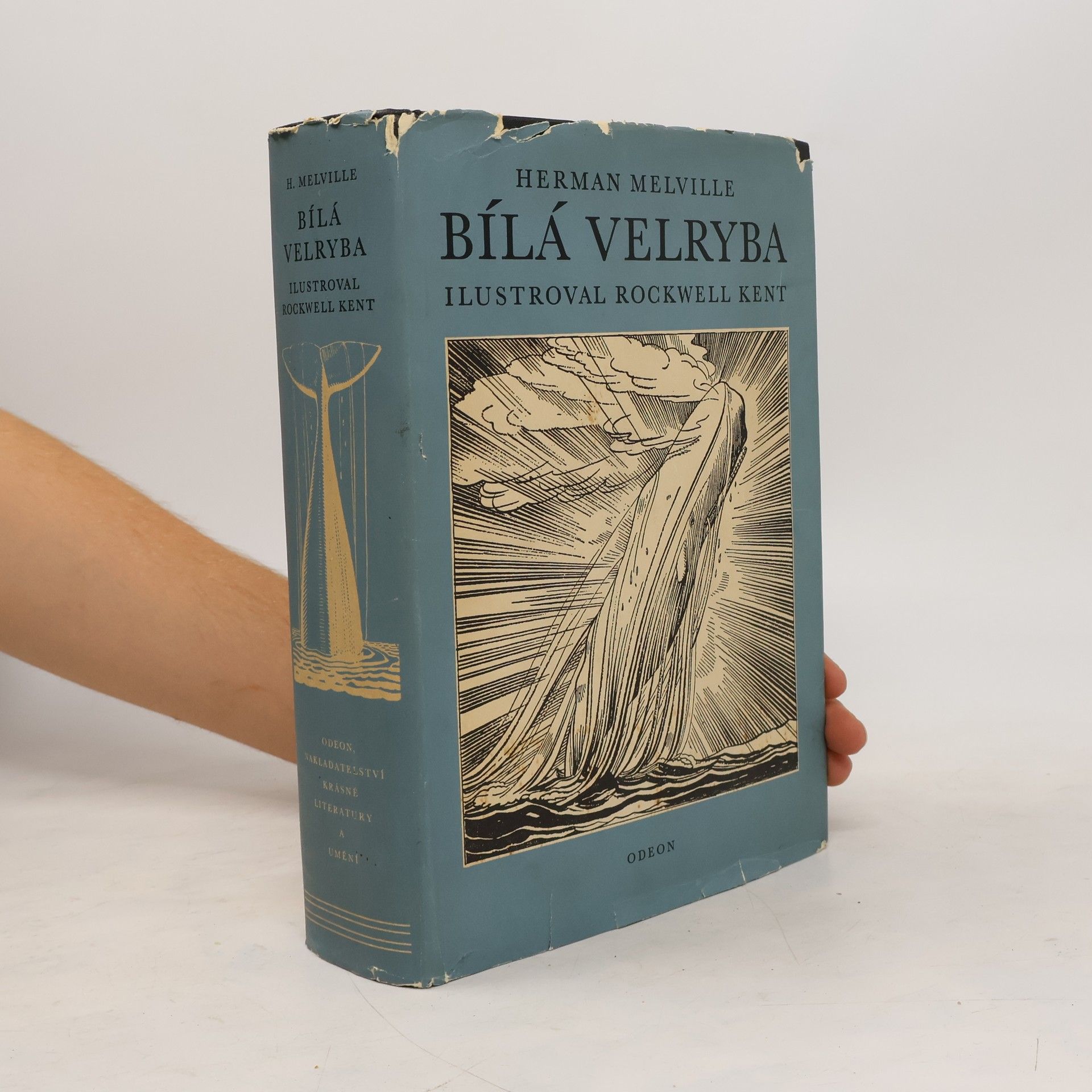 Herman Melville Bílá velryba