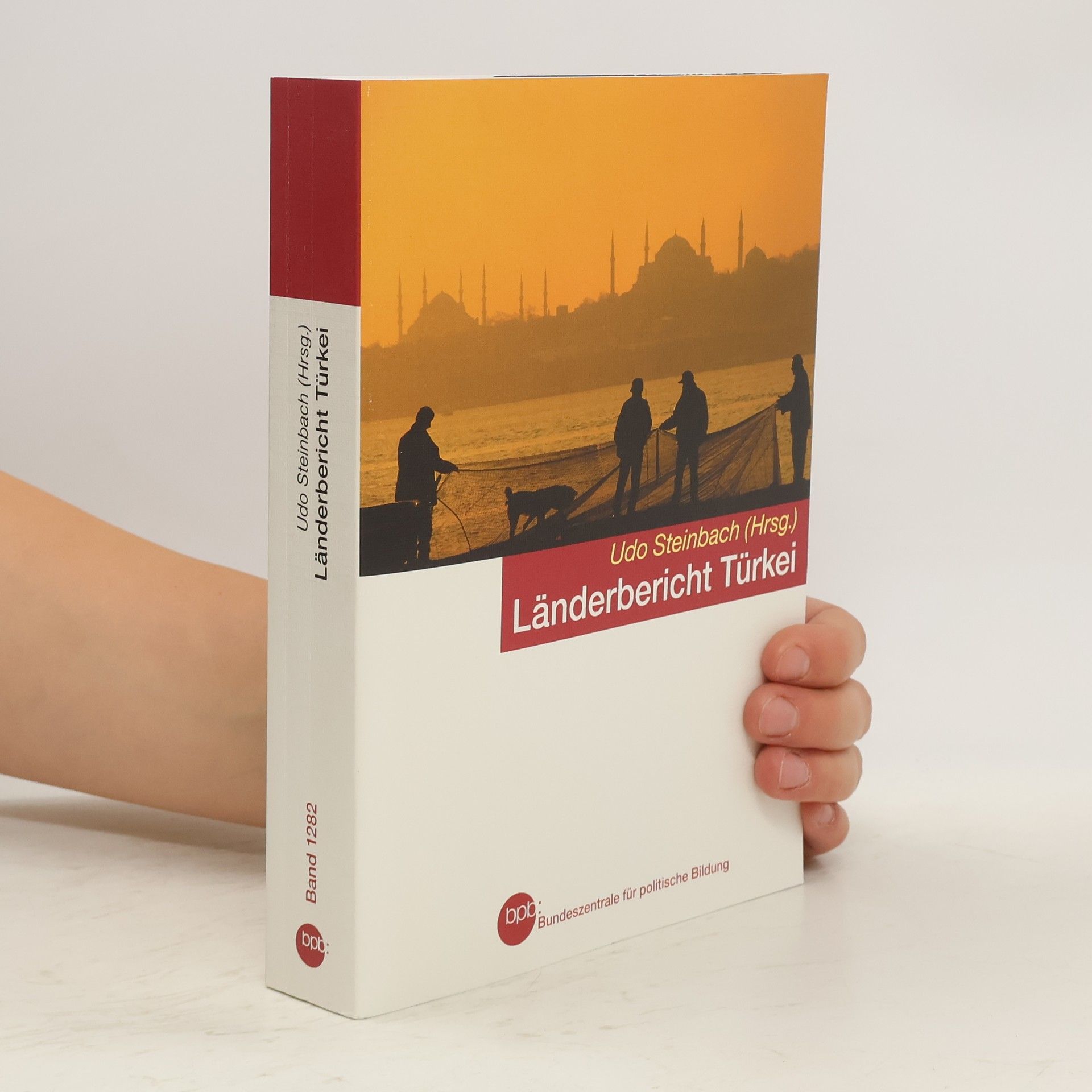 Udo Steinbach Länderbericht Türkei