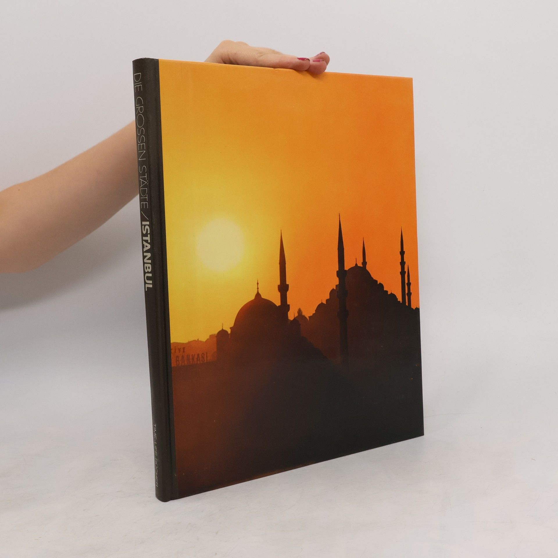 Autorenkollektiv Die grossen Städte: Istanbul