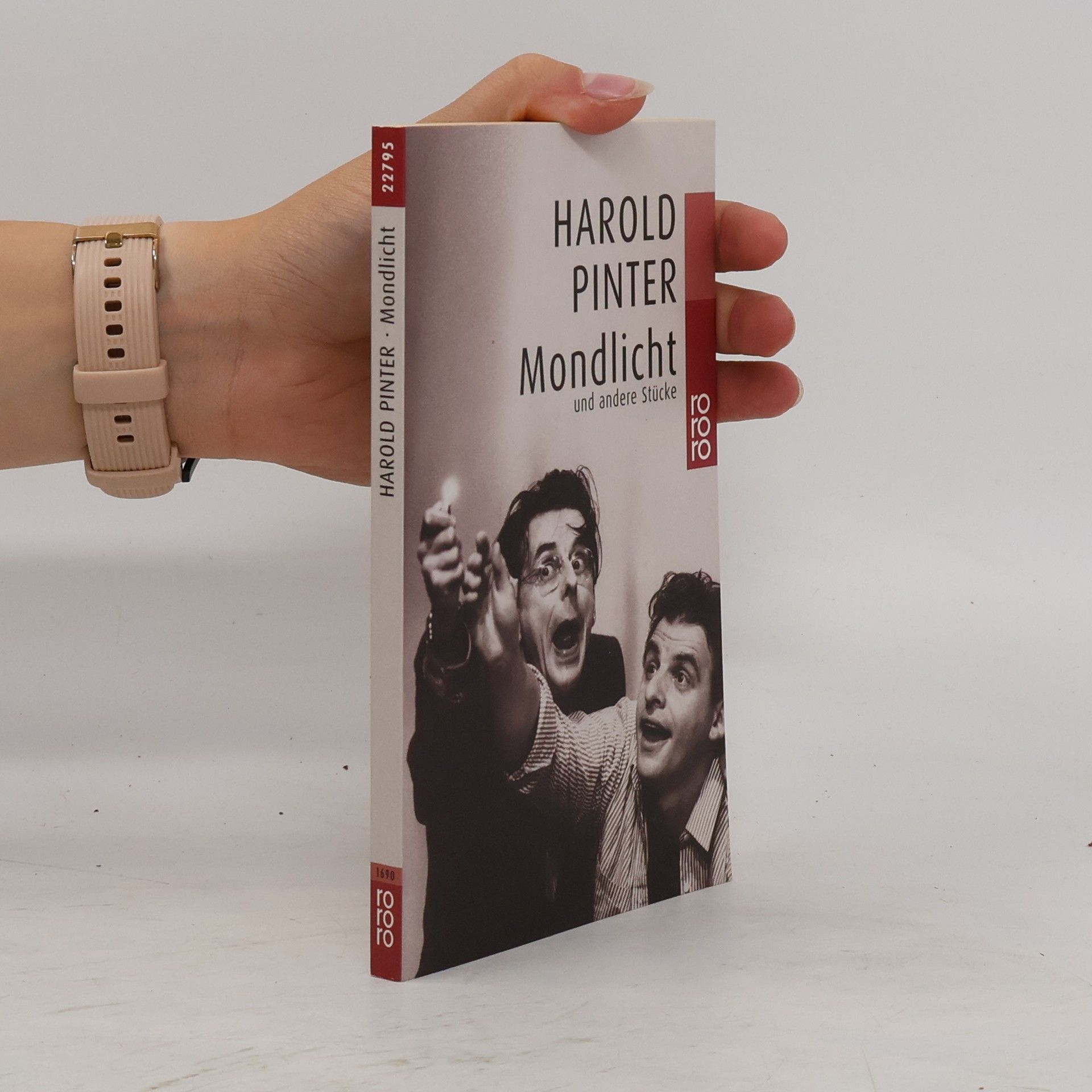 Harold Pinter Mondlicht und andere Stücke