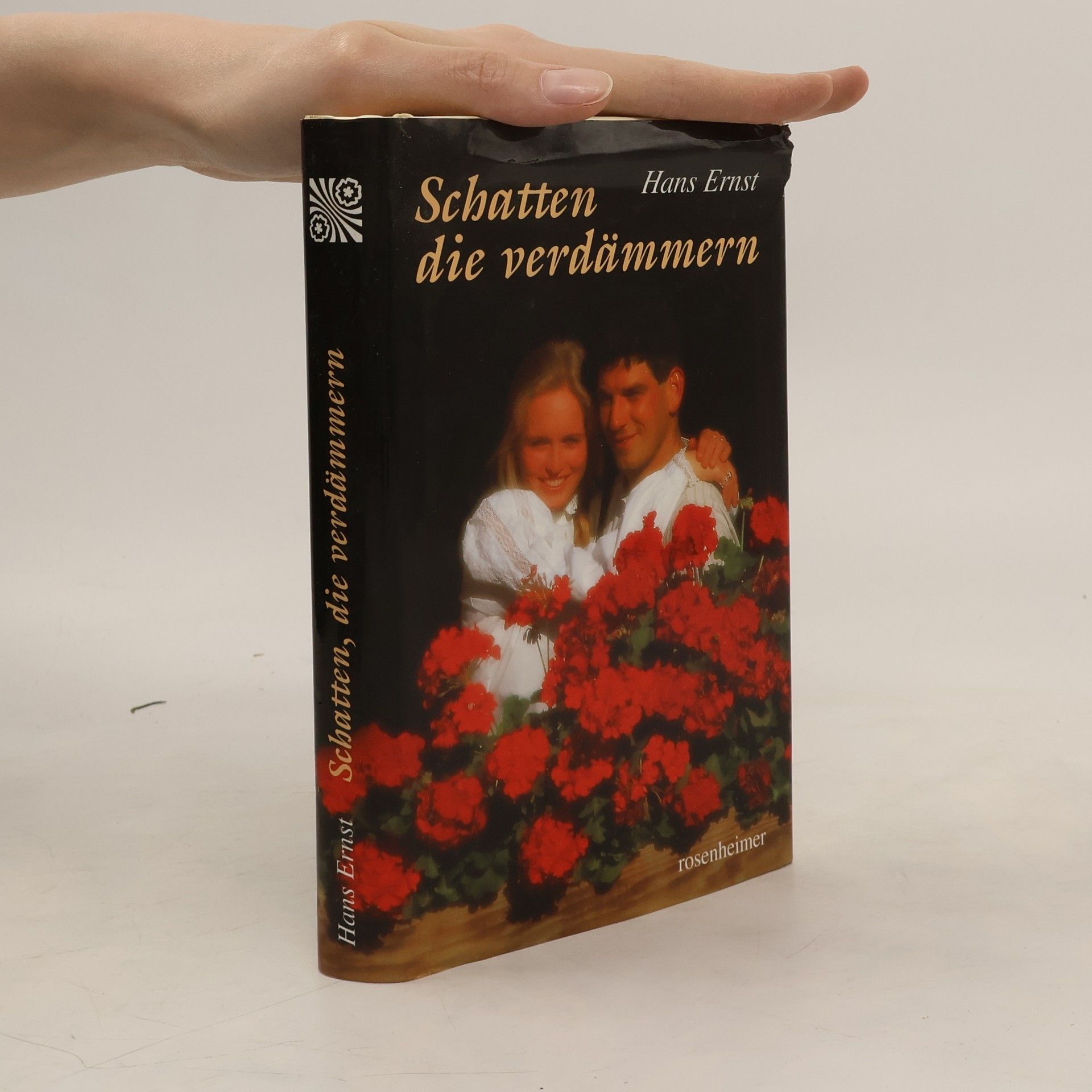 Hans-Ernst Schwiete Schatten, die verdämmern