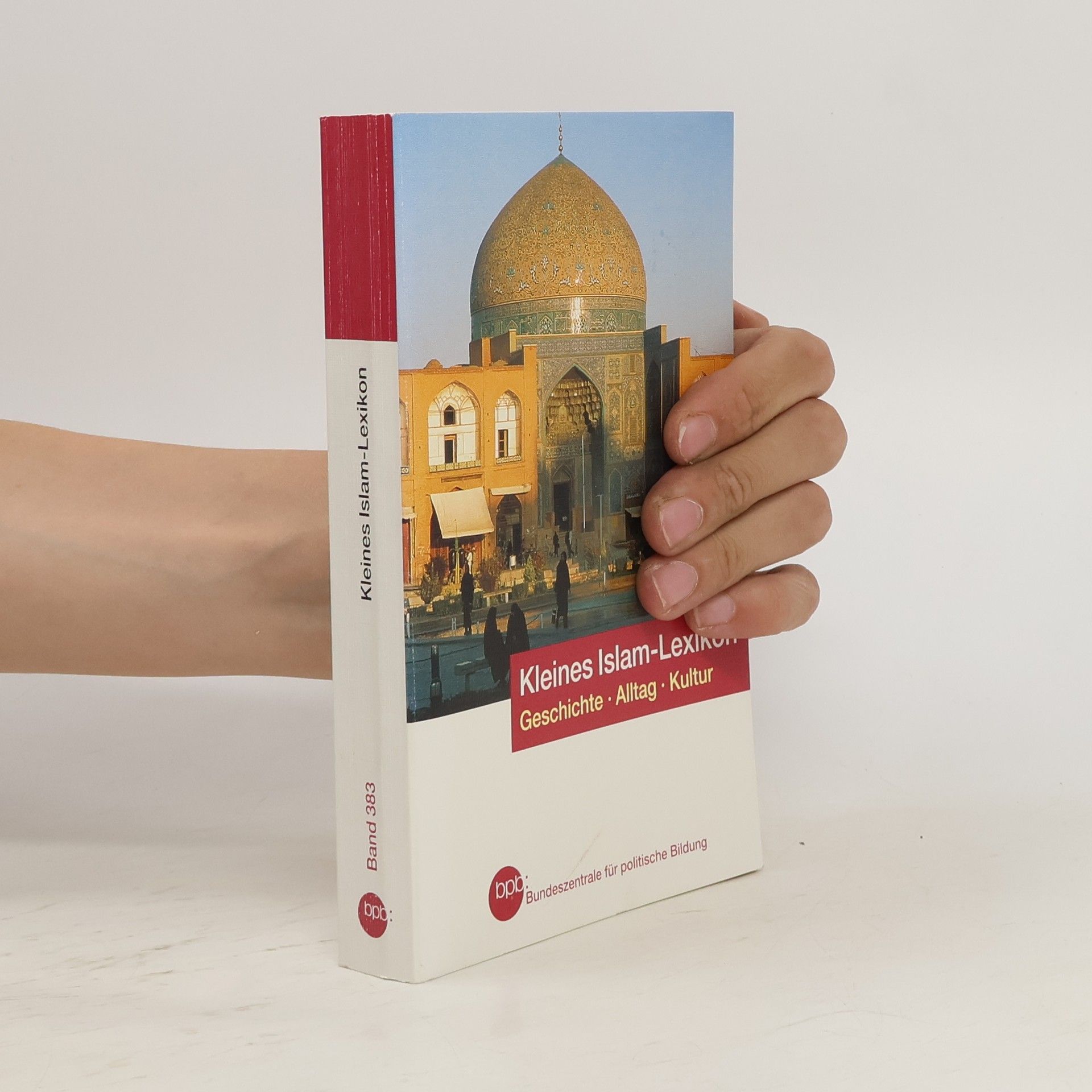 Ralf Elger Kleines Islam-Lexikon