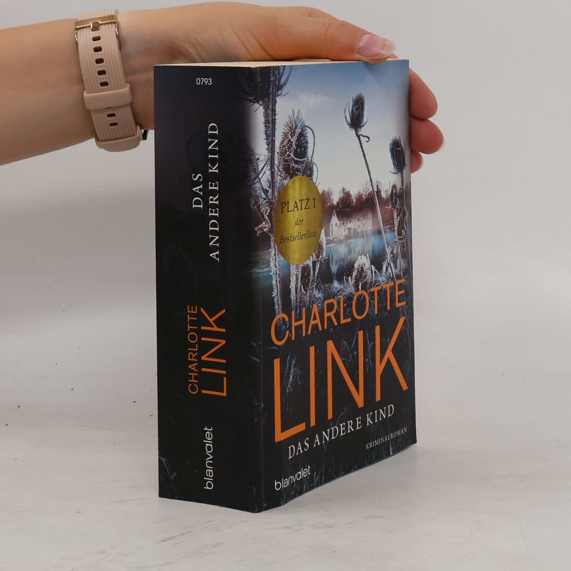 Charlotte Link Das andere Kind