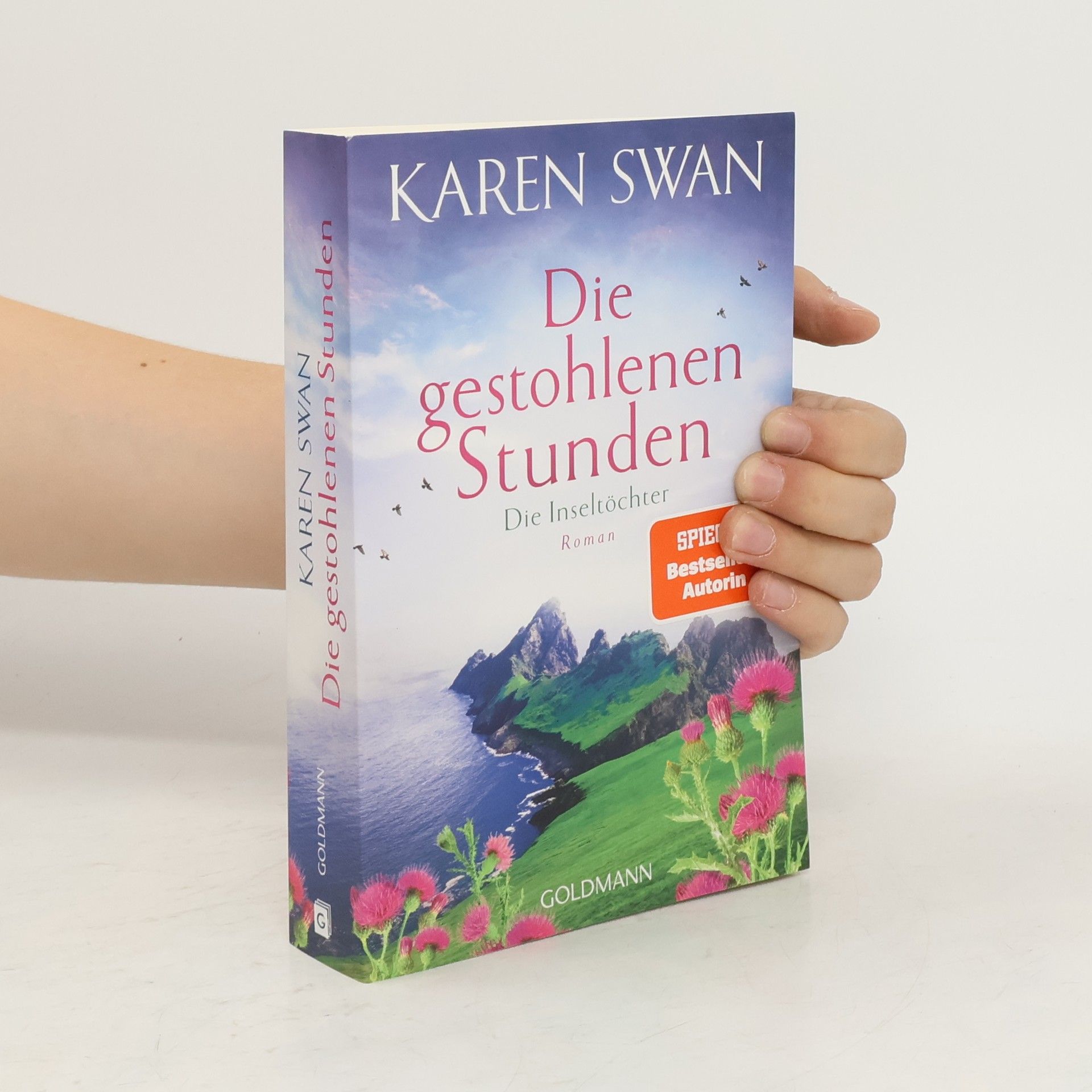 Karen Swan Die Inseltöchter - Die gestohlenen Stunden. Roman