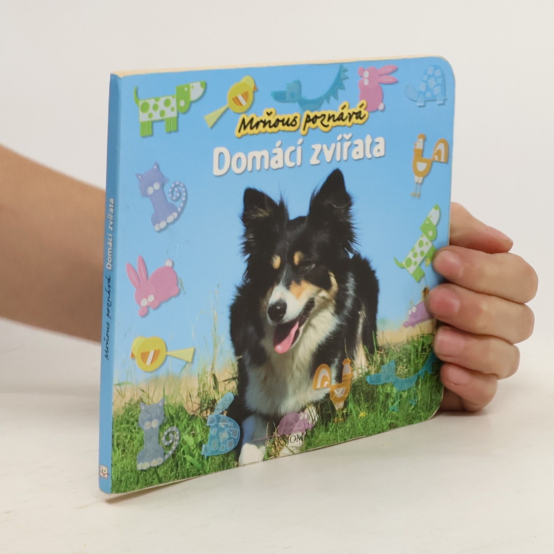 kolektiv Domácí zvířata