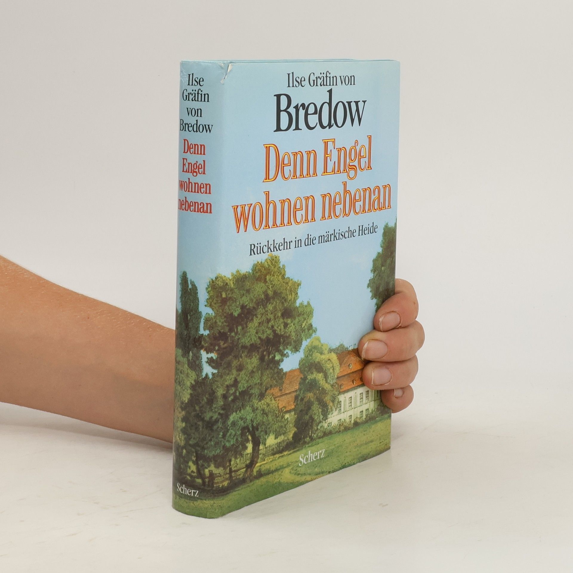 Ilse von Bredow Denn Engel wohnen nebenan