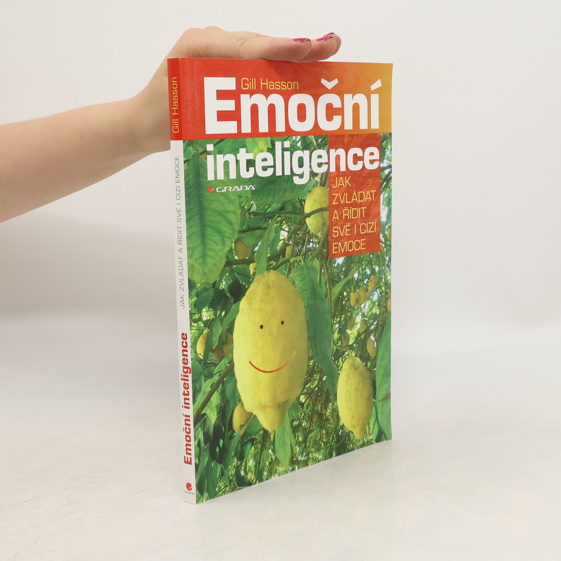 Gill Hasson Emoční inteligence