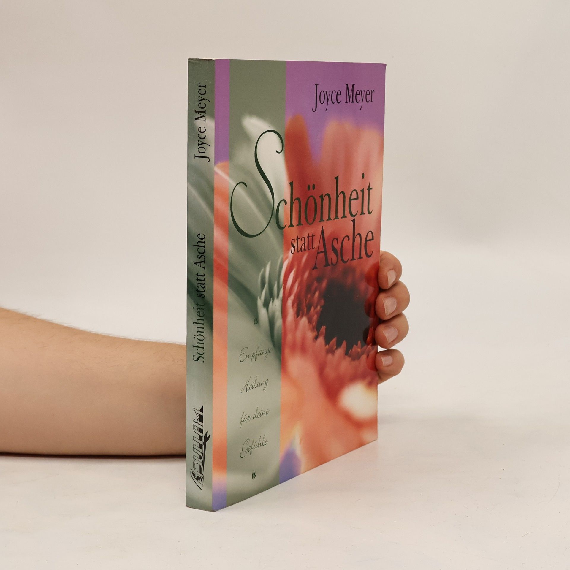 Joyce Meyer Schönheit statt Asche